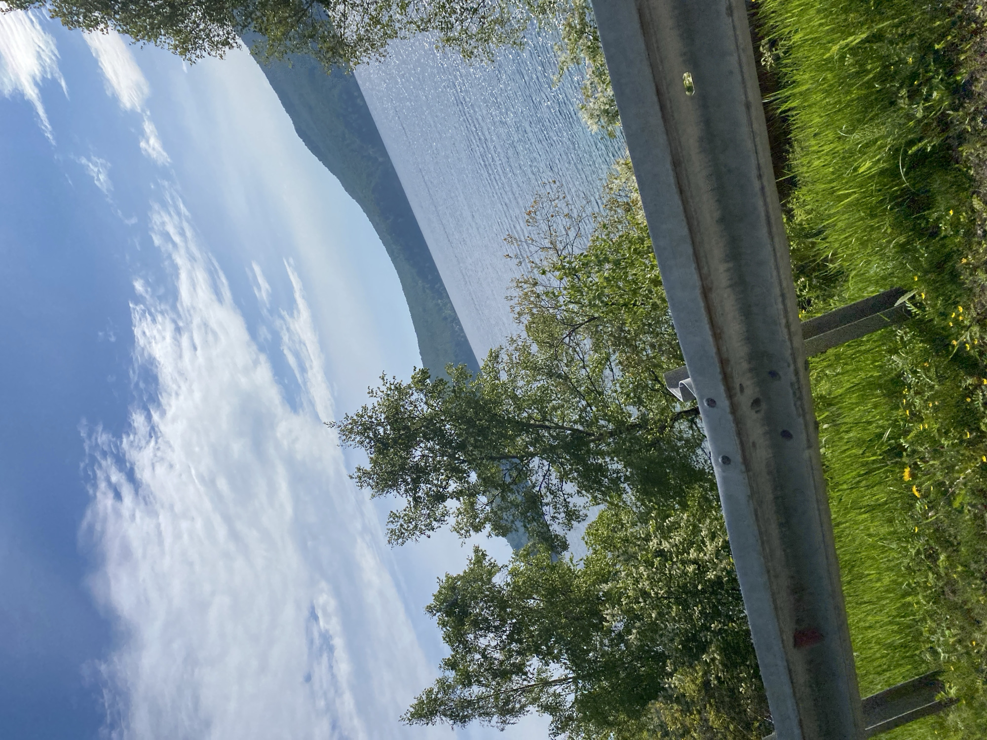 A wide-angle outdoor shot captures a serene landscape with a focus on a body of water and a mountainous backdrop. The sky is a vibrant blue with scattered white clouds. In the foreground, a metallic guardrail runs horizontally across the frame, supported by vertical posts. Lush green grass, dotted with yellow wildflowers, grows beneath and behind the guardrail. Several trees with green foliage are situated between the guardrail and the water. The water itself, appearing as a lake or a wide river, is a deep blue and reflects the sunlight, creating a shimmering effect. In the distance, a large, tree-covered mountain slope rises from the far bank of the water, its peak obscured by the angle of the shot. The scene appears to be a scenic overlook or roadside view, possibly near the city of Nikola in Russia, given the characteristic mountainous terrain and expansive water bodies often found in such regions.
