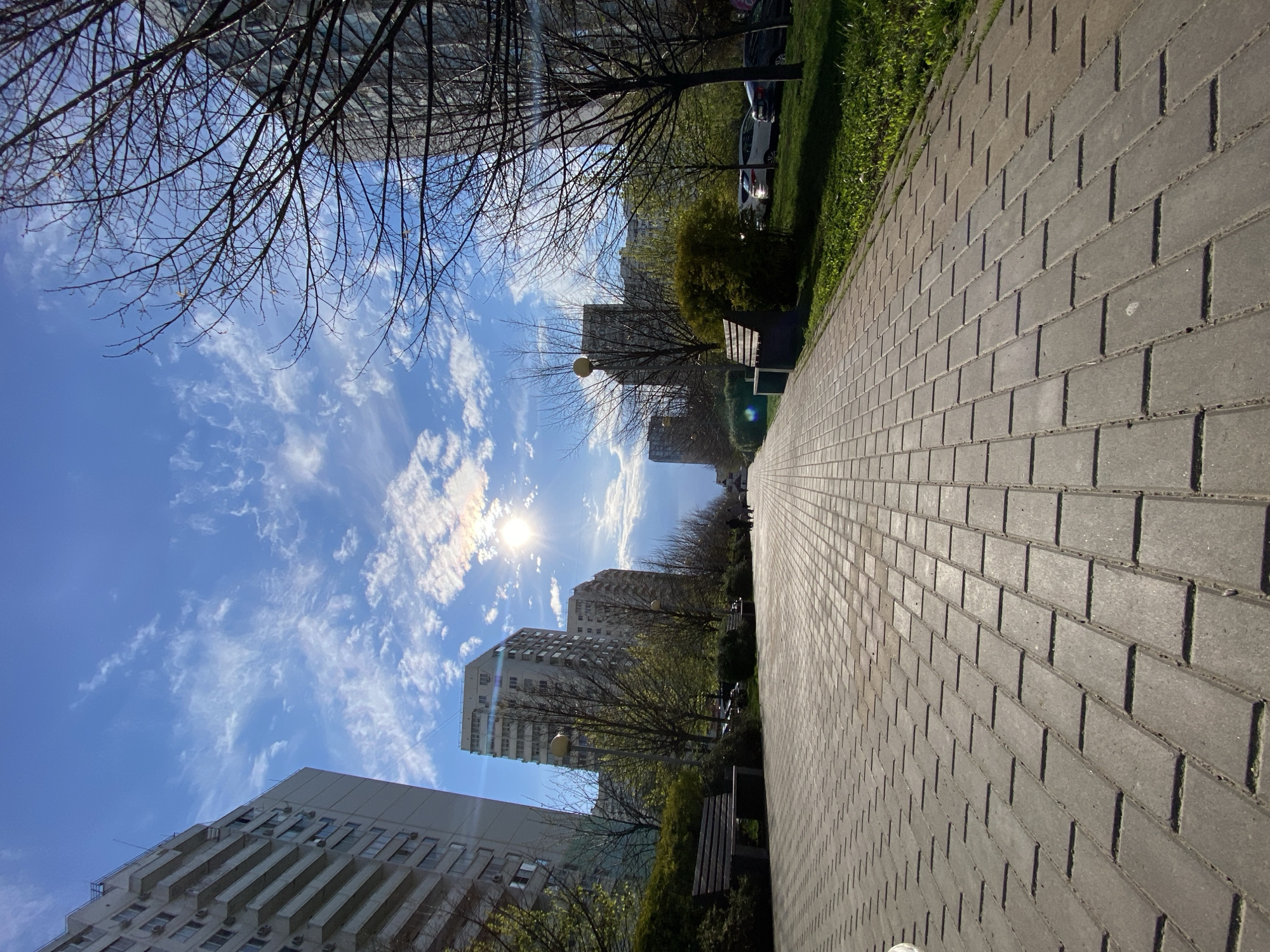 The image presents a low-angle perspective of a brick-paved walkway in an urban environment. The walkway extends into the distance, flanked on one side by a strip of grass and greenery, and on the other by buildings. Several tall apartment buildings are visible against a blue sky with scattered clouds. Bare tree branches are interspersed with buildings and sky. The sun is visible in the sky, creating a lens flare effect. Benches are positioned along the grassy edge of the walkway. Cars are parked alongside the grass. The location is likely within a city, although the specific city is not identifiable from the image.