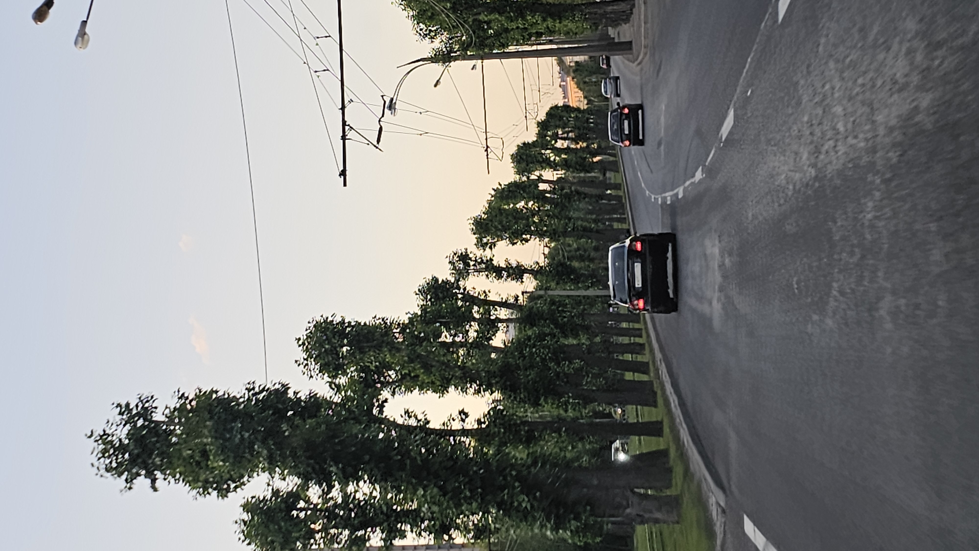 The image shows a road in Yekaterinburg, Russia, lined with tall, slender trees. The road curves to the right, and several cars are driving on it. The sky is a pale orange, suggesting it is either sunrise or sunset. There are power lines visible overhead. The overall scene is one of a quiet, tree-lined street in a city.