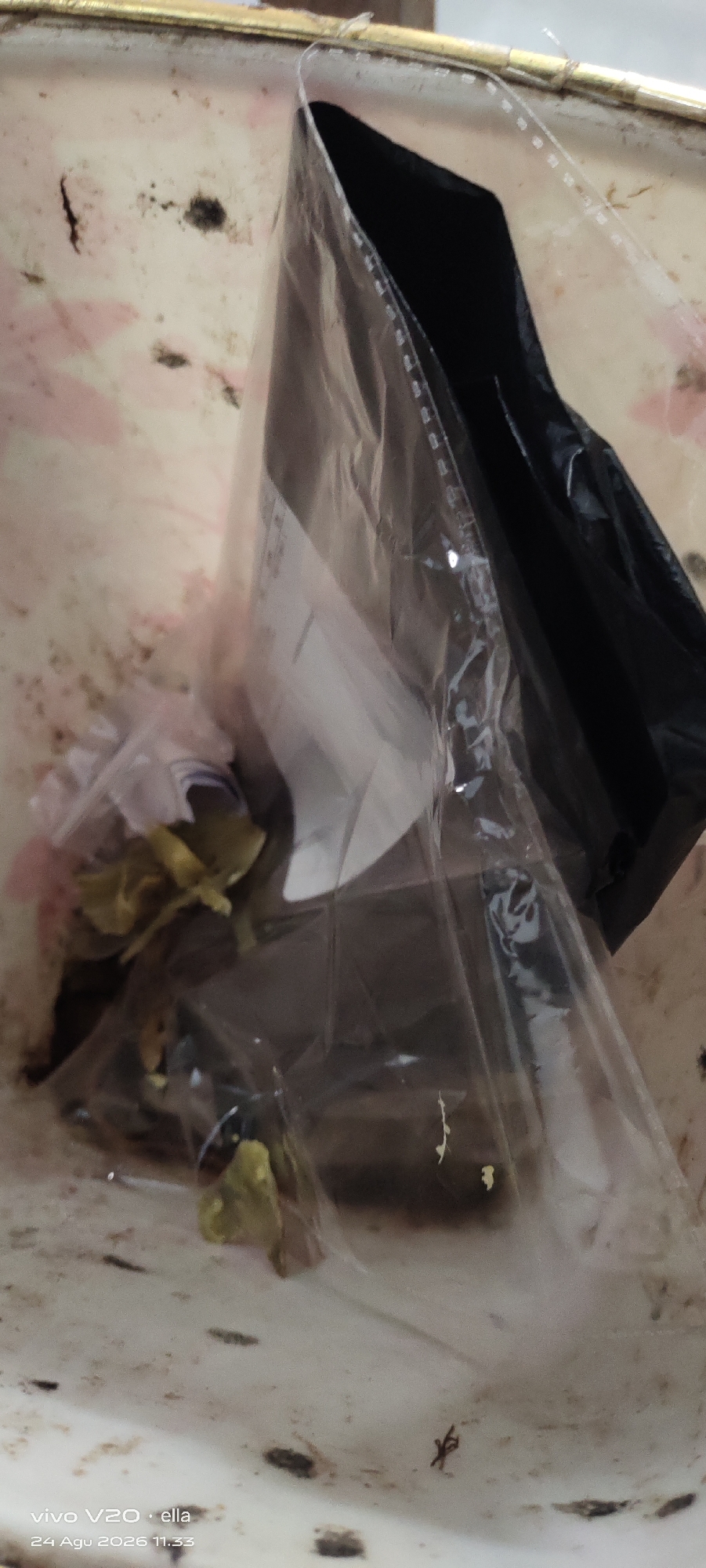 This image depicts the interior of a receptacle, possibly a trash can or sink, with a predominantly white, dirty surface. A black trash bag is visible, partially obscuring other items within the receptacle. There are some scattered debris, including what appears to be dried leaves or plant matter, contained within a clear plastic bag or wrapper. The lighting suggests an indoor environment. The timestamp at the bottom left of the image indicates "vivo V20 · ella 24 Agu 2026 11.33", which is likely a camera timestamp and does not provide specific location information beyond the device used. Therefore, the location in Simo, Indonesia cannot be determined from this image alone. The scene is characterized by a state of disarray and a lack of cleanliness.
