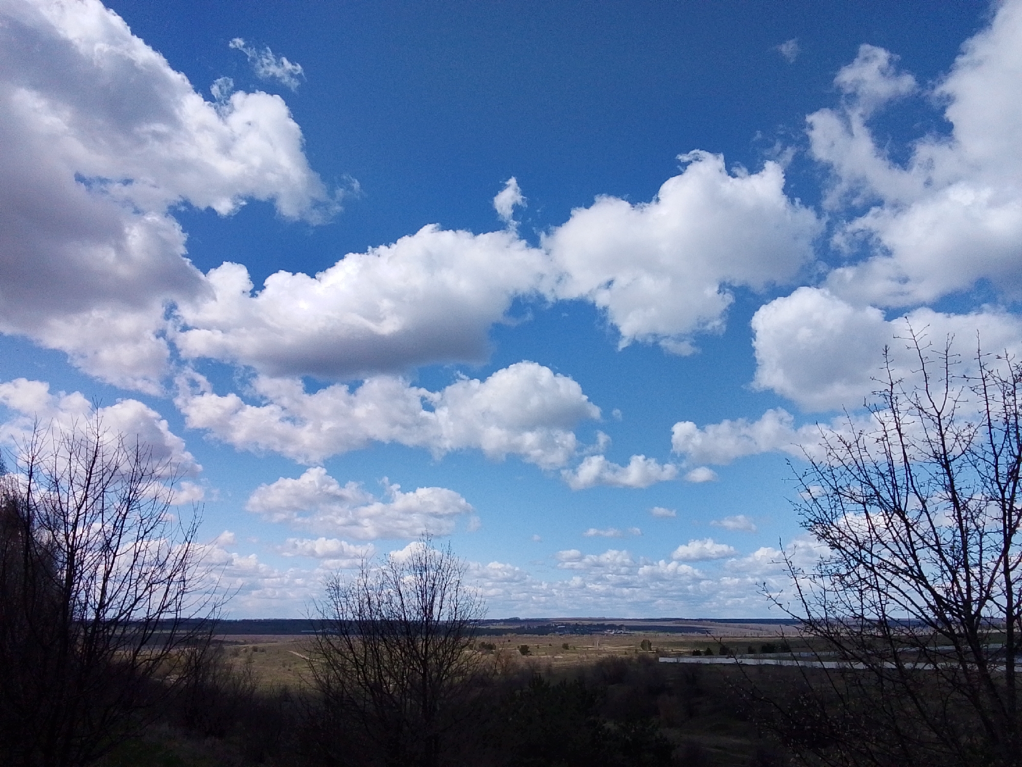 The image captures a wide-angle outdoor landscape scene under a bright, sunny sky. The dominant feature is the expansive blue sky, filled with numerous white cumulus clouds of varying sizes and densities, suggesting fair weather.
In the immediate foreground, dark, bare branches of trees and shrubs frame the bottom and sides of the composition, silhouetted against the brighter background. These leafless branches indicate late winter or early spring. Beyond these dark silhouettes, a vast, open landscape stretches towards the horizon. This midground and background consist of fields and possibly distant wooded areas, rendered in muted tones of green and brown. A thin, light-colored line in the far distance suggests a body of water, likely a river or lake, reflecting the sky.
The scene depicts a natural, tranquil environment. No human activity or specific objects are visible beyond the natural elements. The time of day appears to be midday or early afternoon, given the clear, high sun implied by the bright sky and well-lit clouds. The expansive plain and scattered trees are consistent with a rural or semi-rural setting, aligning with the provided location context of Khlevnoye, Russia. There is no visible text in the image.