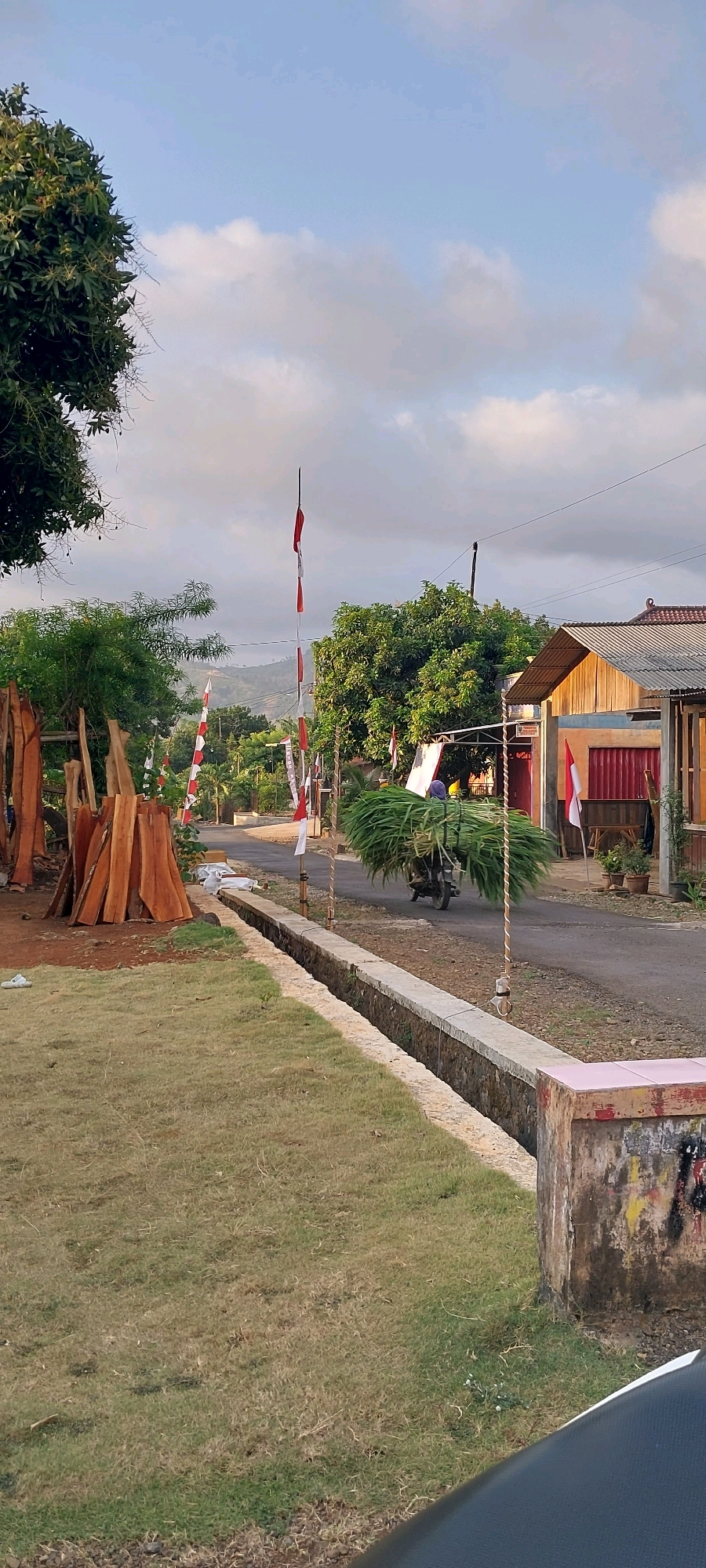 The image depicts a rural roadside scene in Keling, Indonesia. In the foreground, a patch of dry grass is visible next to a concrete drainage ditch. A pile of rough-hewn lumber is stacked to the left, suggesting construction or woodworking activity. The road itself is paved and curves into the distance.
Along the roadside, several Indonesian flags, characterized by their red and white stripes, are prominently displayed on poles, indicating a local celebration or event. A motorcycle carrying a large load of green foliage, likely grass or fodder, is traveling along the road. The driver is partially visible, wearing a blue garment and a head covering.
In the background, there are houses with pitched roofs and visible structures, some painted in muted colors. Lush green trees and vegetation are abundant, with a hilly landscape visible in the far distance under a partially cloudy sky. The overall atmosphere is that of a typical day in a rural Indonesian village.