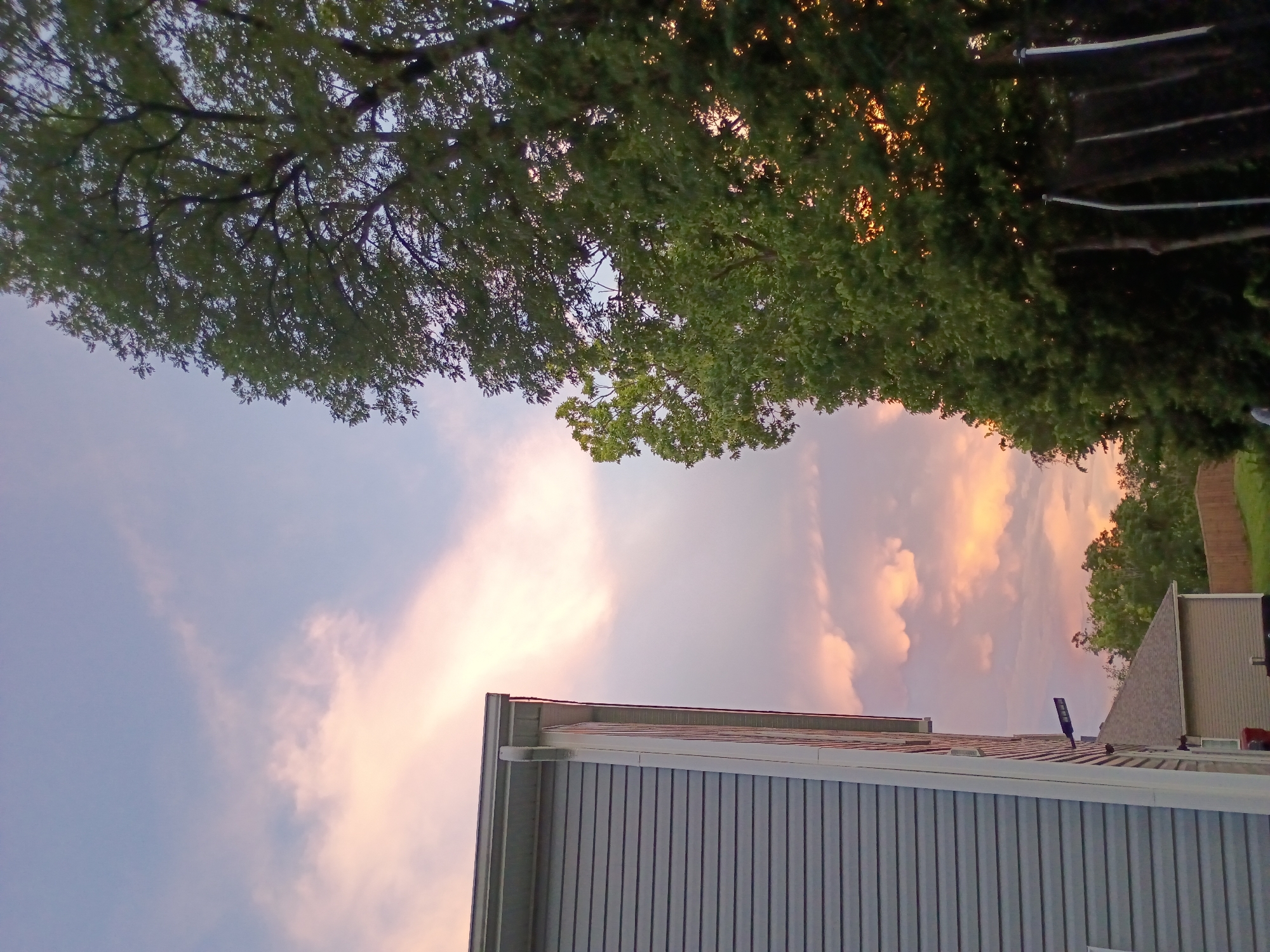 The image depicts a residential scene in Nicholasville, United States of America, during a sunset. In the foreground on the left, a portion of a light gray, vinyl-sided house is visible, showing its corner and roofline. To the right and behind the house, a large tree with lush green foliage dominates the right side of the frame, with its branches extending upwards and into the sky. Between the house and the trees, the sky is filled with soft, diffused clouds tinted with pink and orange hues from the setting sun, transitioning to a pale blue at the top. In the middle ground, a smaller structure with a light brown roof and siding is visible, partially obscured by the larger house. A wooden fence runs along the edge of the property in the background, and parts of a trampoline frame can be seen in the lower right corner, partially covered by trees. No people are discernible in the image. The overall atmosphere is serene, capturing the end of the day in a suburban setting.
