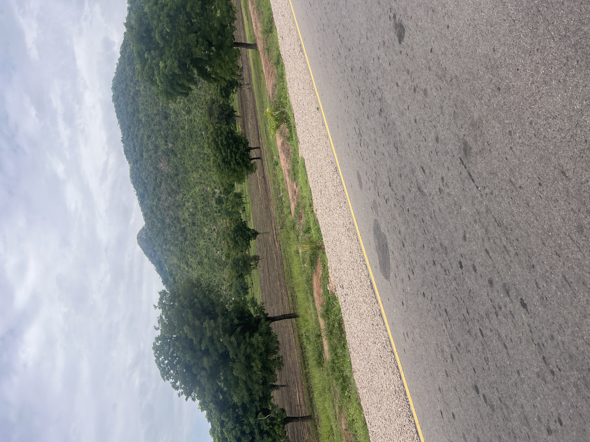 The image depicts a landscape scene with a paved road in the foreground, bordered by a gravel shoulder and a yellow line. Beyond the road, there are several rows of trees planted in a field, which appears to be agricultural land. In the background, a large, verdant hill or mountain rises, covered in lush vegetation. The sky is overcast with clouds. The location is identified as being in the city of Minda, Nigeria. No people or animals are visible in the image. The scene conveys a rural or semi-rural atmosphere, characterized by natural elements and evidence of human activity in the form of agriculture and infrastructure.