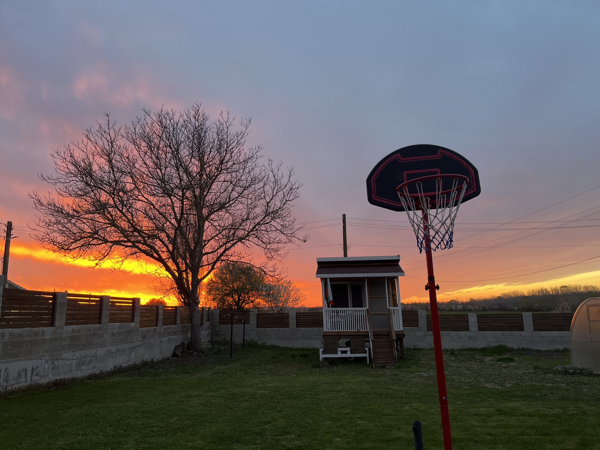 A backyard scene in Pchelnik, Bulgaria, at sunset. A leafless tree stands to the left of a small, elevated wooden playhouse with a white railing and stairs. A basketball hoop with a red pole and net is positioned to the right of the playhouse. A concrete and wooden fence runs along the rear of the yard, behind the tree and playhouse. The sky displays vibrant shades of orange and pink, indicative of a sunset. The yard is covered in green grass. A greenhouse is partially visible on the right.