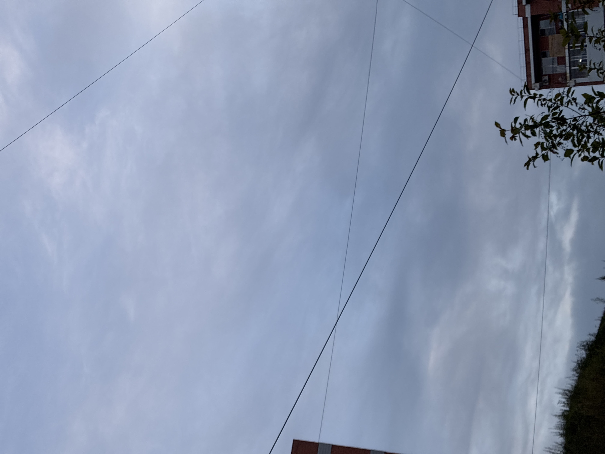 The image shows a cloudy sky with visible power lines. On the left, a portion of a red brick building is visible. On the right, another building with red accents and balconies is partially visible, with a tree in the foreground. The lower part of the image shows a dark, overgrown area, likely a hillside. This scene is consistent with an urban environment in Markova, Russia.
