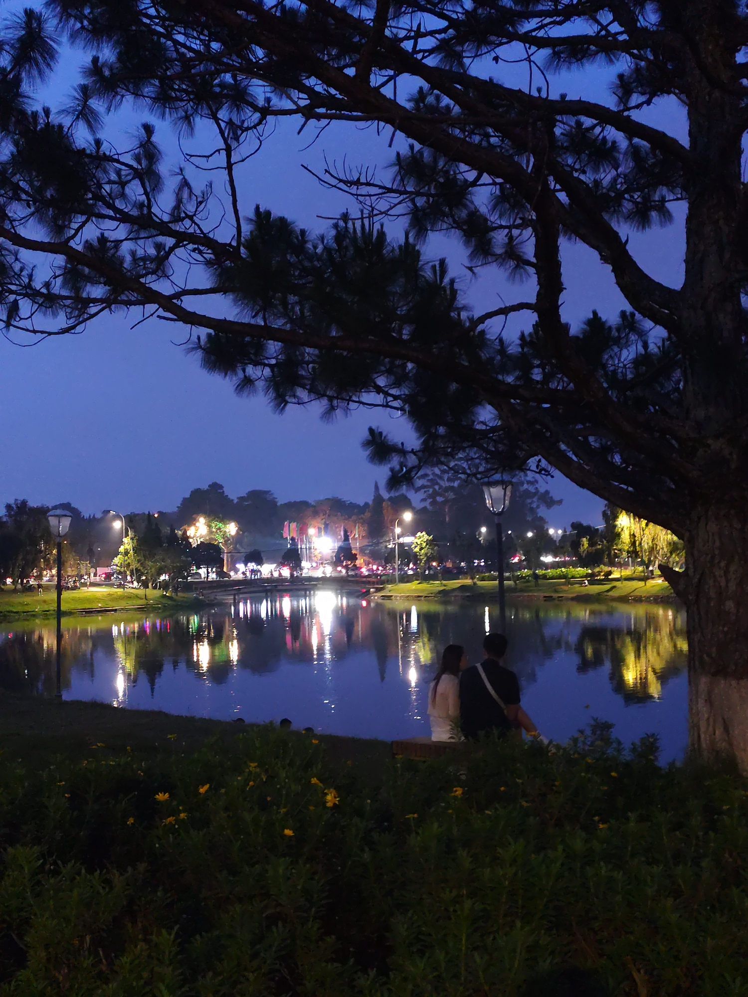 At night, a couple sits by Xuan Huong Lake in Da Lat, Vietnam. The lake reflects the lights from the city. A large tree dominates the right side of the frame, with its branches extending across the upper part of the image. Bushes with yellow flowers are in the foreground. Street lamps are visible in the background along the shoreline.