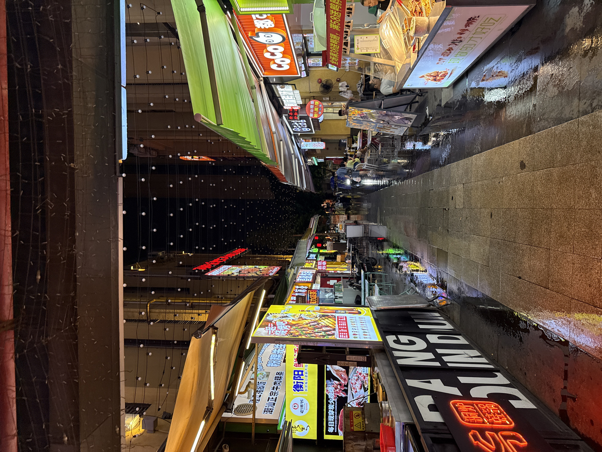 This is a vertical, eye-level, medium shot of a bustling night market in Haizhu District, China. The scene is wet, suggesting recent rain, with reflections of colorful neon signs shimmering on the slick pavement. Numerous stalls line a narrow pedestrian alleyway, illuminated by the vibrant glow of various advertisements.
The subjects are a mix of people and objects. Shoppers can be seen navigating the crowded walkway, and vendors are likely present behind their stalls, though they are not clearly visible. Objects include an array of food stalls, each adorned with bright, illuminated signs. The signs display food items, prices, and business names in Chinese characters, with some English text also present. Examples of visible text include "CoCo都," "潮汕正宗牛肉粿条," "衡阳," "鲜货每日更新不围," and "ROASTED DAILY OVER." Strings of small white lights are strung across the alleyway, adding to the festive atmosphere.
The activity taking place is a typical night market scene, with people shopping and likely enjoying street food. The time of day is clearly nighttime, as indicated by the artificial lighting and the dark sky. The wet ground and reflections create a dynamic and visually appealing environment. The overall emotion conveyed is one of lively commerce and urban energy.