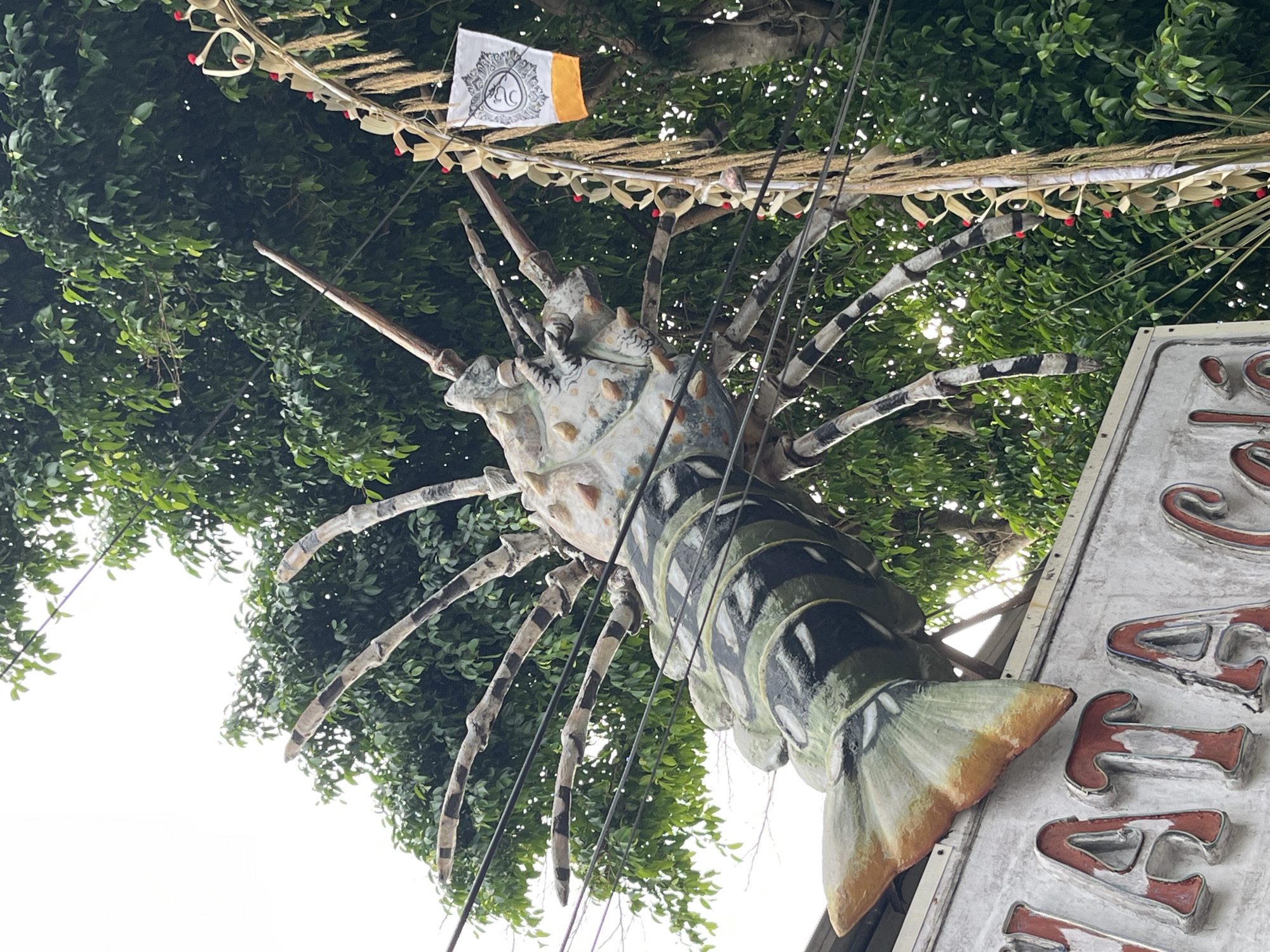 The image captures a close-up, low-angle view of a large, colorful statue of a lobster. The lobster is positioned outdoors, against a backdrop of lush green trees and a bright sky. It appears to be mounted on or near a building, with its tail end resting on a sign that reads "MATA CAFE". The lobster statue itself is intricately detailed, with a textured body and segmented legs. Its shell is painted in shades of green, black, and white, with some lighter, yellowish-orange accents on its tail. Several wires are visible, crisscrossing in front of and around the lobster. To the right of the lobster, a decorative element made of woven material and red accents hangs from what appears to be a tree or pole, with a small white flag adorned with a circular emblem and an orange border attached to it. This scene is located in Kuta, Indonesia, a well-known tourist destination.
