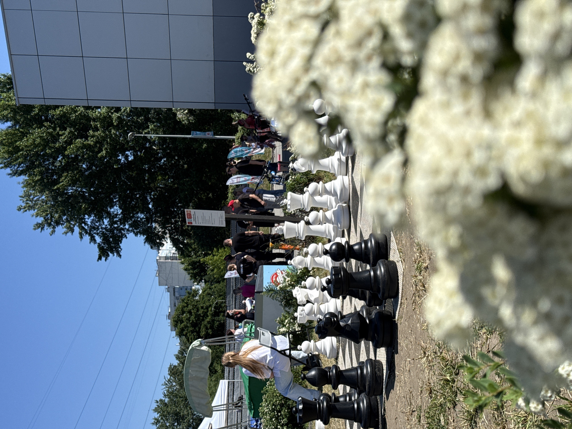 The image depicts an outdoor public gathering under a clear blue sky, set in what is identifiable as Moscow, Russia, due to the presence of a person wearing a shirt with "ПОЛИЦИЯ" (POLICE) on the back and "АВТО.РУ" logos on signage. The foreground features a dense cluster of blurry white flowers and green foliage, obscuring the bottom edge of the scene.
A prominent oversized outdoor chess set occupies the mid-ground. It consists of large, black and white plastic or fiberglass pieces arranged on light-colored square mats that form the chessboard. The black pieces, including a king, queen, rooks, knights, bishops, and pawns, are closest to the viewer. To the left of the chess set, a woman with long, light brown hair, dressed in a white long-sleeved shirt and light blue jeans, sits on a white plastic chair, facing away from the camera and observing the activity.
In the background, numerous people are gathered in a casual setting, suggesting a public event or market. Elements include a white canopy tent, a green structure, and a blue bin with unreadable white text. One individual in the mid-right background wears a black shirt clearly displaying "ПОЛИЦИЯ" in white Cyrillic letters. Several electric scooters, including a red and a black one, are parked among the attendees. Signs, including one with an "АВТО.РУ" logo, are visible throughout the background.
The far background on the right features a modern building with a grey, paneled facade. To the left, older, multi-story residential buildings are partially visible behind dense green trees. Multiple thin power lines traverse the upper left portion of the clear blue sky. The ground around the chess set and in the immediate background consists of dry earth and sparse grass.
