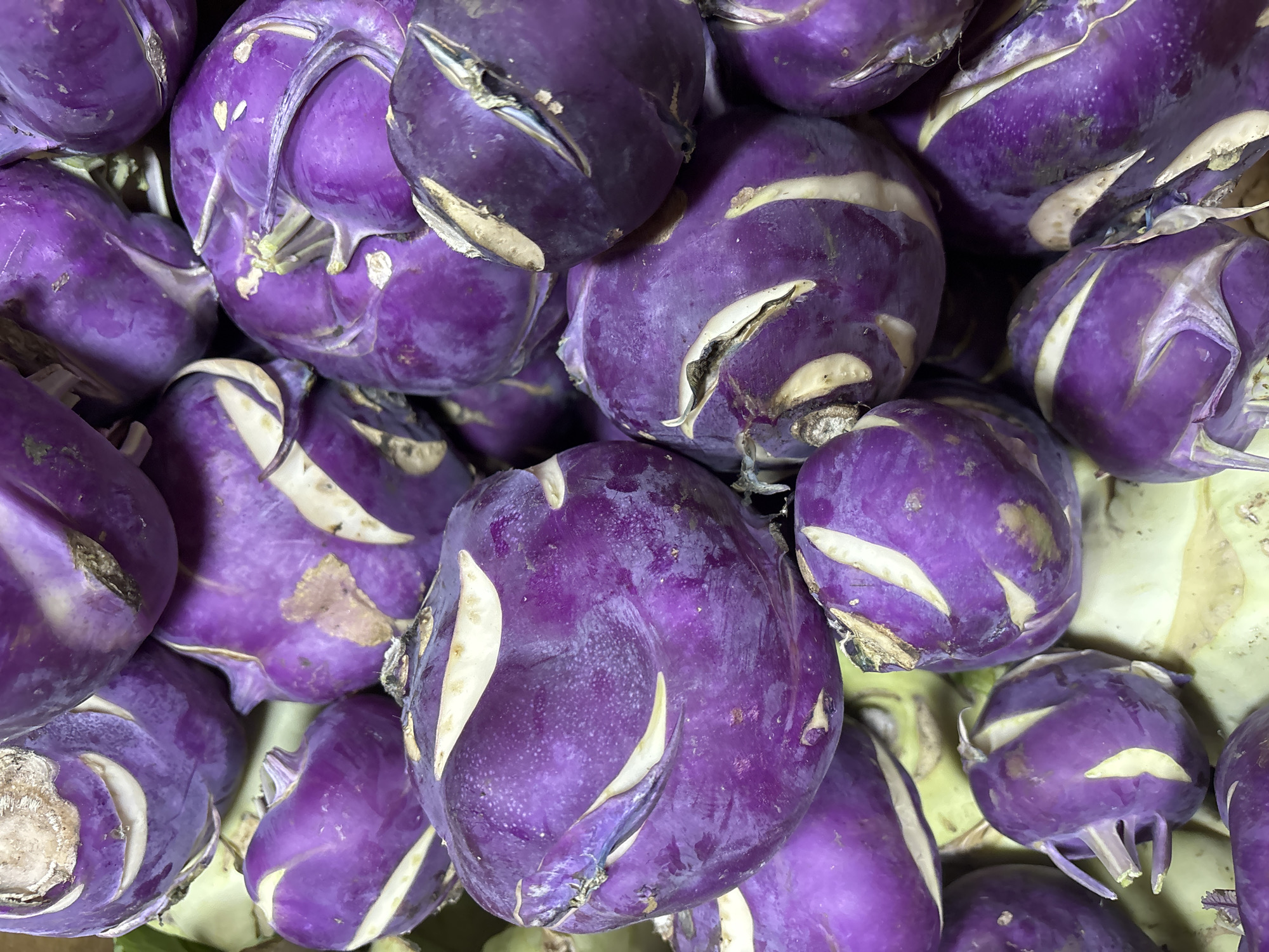 This is a close-up, overhead shot of a pile of purple kohlrabi vegetables. The kohlrabi are round and bulbous with a deep purple skin, some showing lighter streaks or lighter areas where leaves were attached. Some of the vegetables have small, dried stems protruding from the top. The lighting is bright, and the focus is sharp, highlighting the texture and color of the produce. The background consists of more kohlrabi, some appearing lighter green, suggesting they might be a different variety or the underside of the purple ones. The scene appears to be a display of fresh vegetables, possibly at a market. There is no discernible location in Zvenigorod, Russia, provided within the image itself.