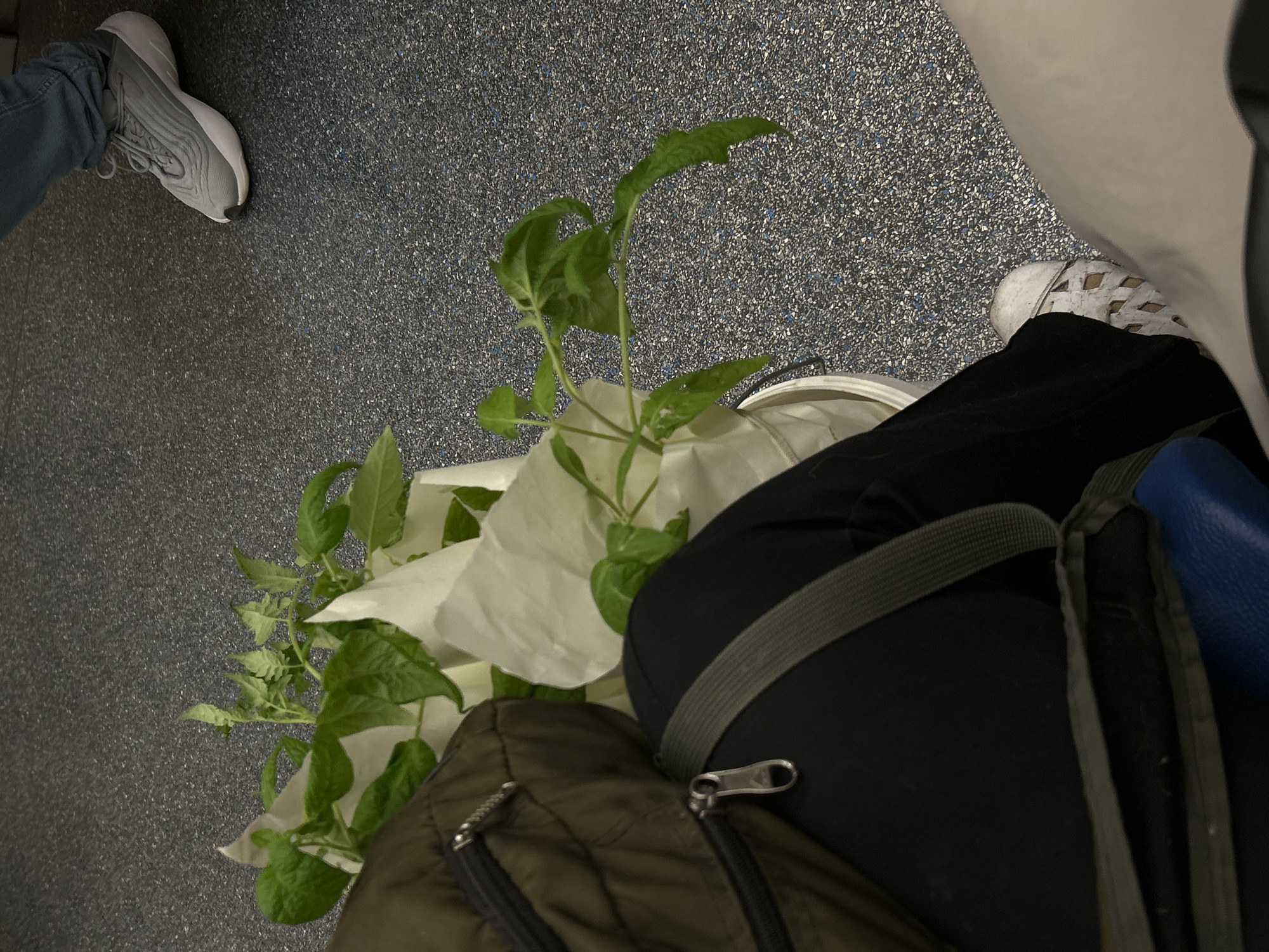 The image shows a view looking down at the floor of what appears to be a train in Saint Petersburg, Russia. Two pairs of legs and feet are visible, with one person wearing grey sneakers and blue jeans, and another wearing white shoes with black pants. A bouquet of flowers wrapped in white paper sits between them. A green backpack and a black backpack with blue accents are also in the scene. The floor is textured grey, suggesting a public transportation setting.