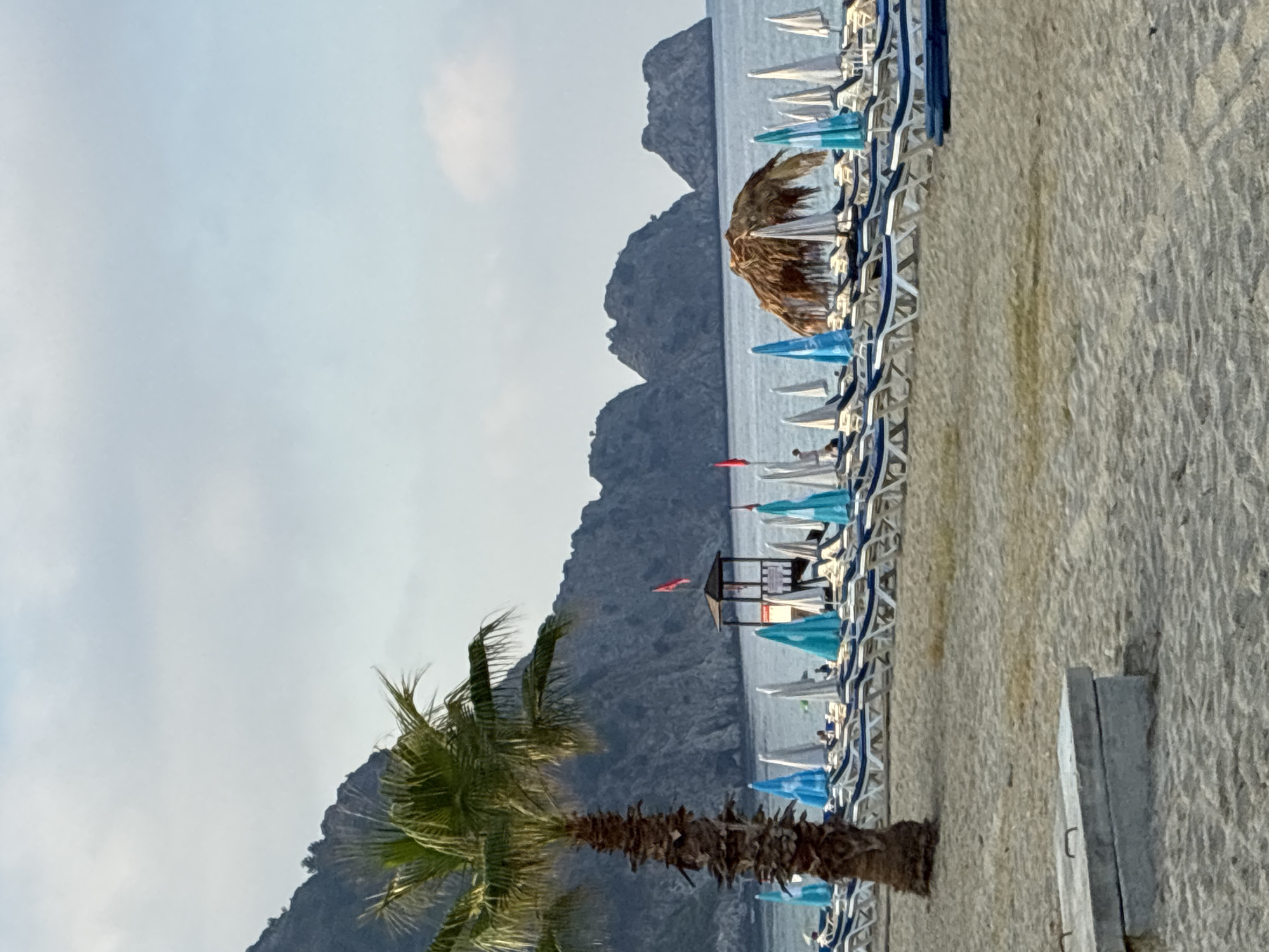 The image depicts a beach scene in Alanya, Turkey, likely in the early morning or late afternoon given the soft light. In the foreground, a sandy beach stretches out, with a concrete structure partially visible on the left. A prominent palm tree stands to the left of the frame, its trunk textured and its fronds casting shadows.
Behind the palm tree and extending across the middle ground is a long row of empty lounge chairs and umbrellas, some of which are brightly colored in shades of blue and turquoise, while others are white. A few of these chairs appear to have dark blue cushions.
Further back, the sea is calm, with a few rocky islands or large rock formations rising from the water in the distance, forming a dramatic backdrop. The sky above is overcast with soft, diffused light.
A small lifeguard tower with a red flag flying is positioned to the left of the center, amidst the rows of chairs. To the right of the lifeguard tower, there is a thatched-roof umbrella providing shade over a cluster of lounge chairs. A few people are sparsely scattered on the beach and in the seating area, suggesting a quiet moment before or after peak hours. The overall impression is one of a serene and well-equipped beach resort.