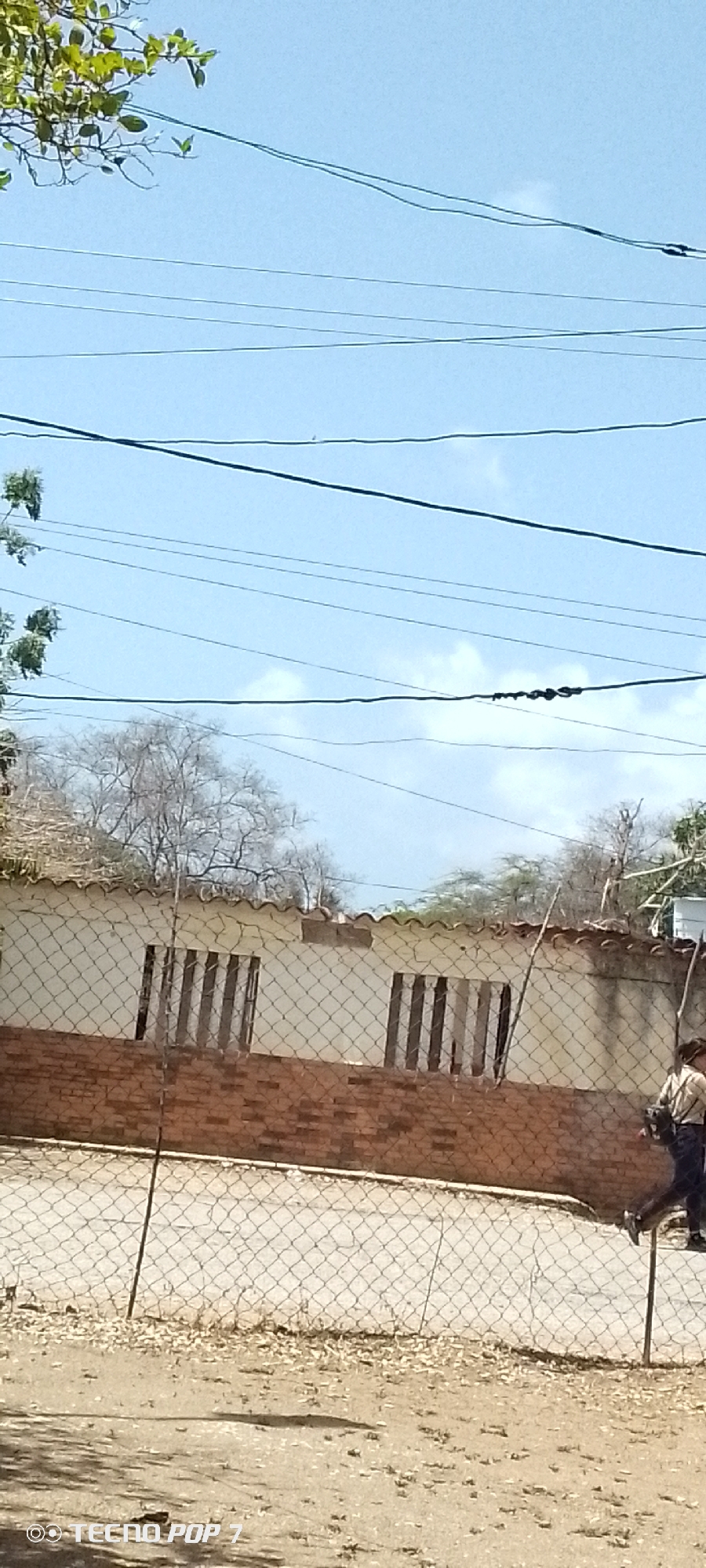 This daytime photograph, taken in Altagracia, Venezuela, depicts a street scene with a building, a fence, and a person. In the midground, a single-story building features a white painted upper section and a lower portion constructed from red bricks. Two windows with vertical bars are visible on its facade. Behind the building, several trees with mostly bare branches are present, suggesting a dry climate or season. In the upper left corner, green leafy branches from another tree extend into the frame.
A chain-link fence runs horizontally across the foreground, separating the viewer from the building. The ground in the immediate foreground and beyond the fence is unpaved, consisting of dirt and scattered small stones.
On the far right side of the image, a person is partially visible, walking from right to left. They are wearing a light-colored shirt or jacket, dark pants, and a hat, and appear to be carrying a bag or item on their side.
The sky is clear and bright blue with some wispy white clouds. Several dark power lines traverse the upper half of the image. A watermark "© TECNO POP 7" is visible in the bottom left corner of the image.