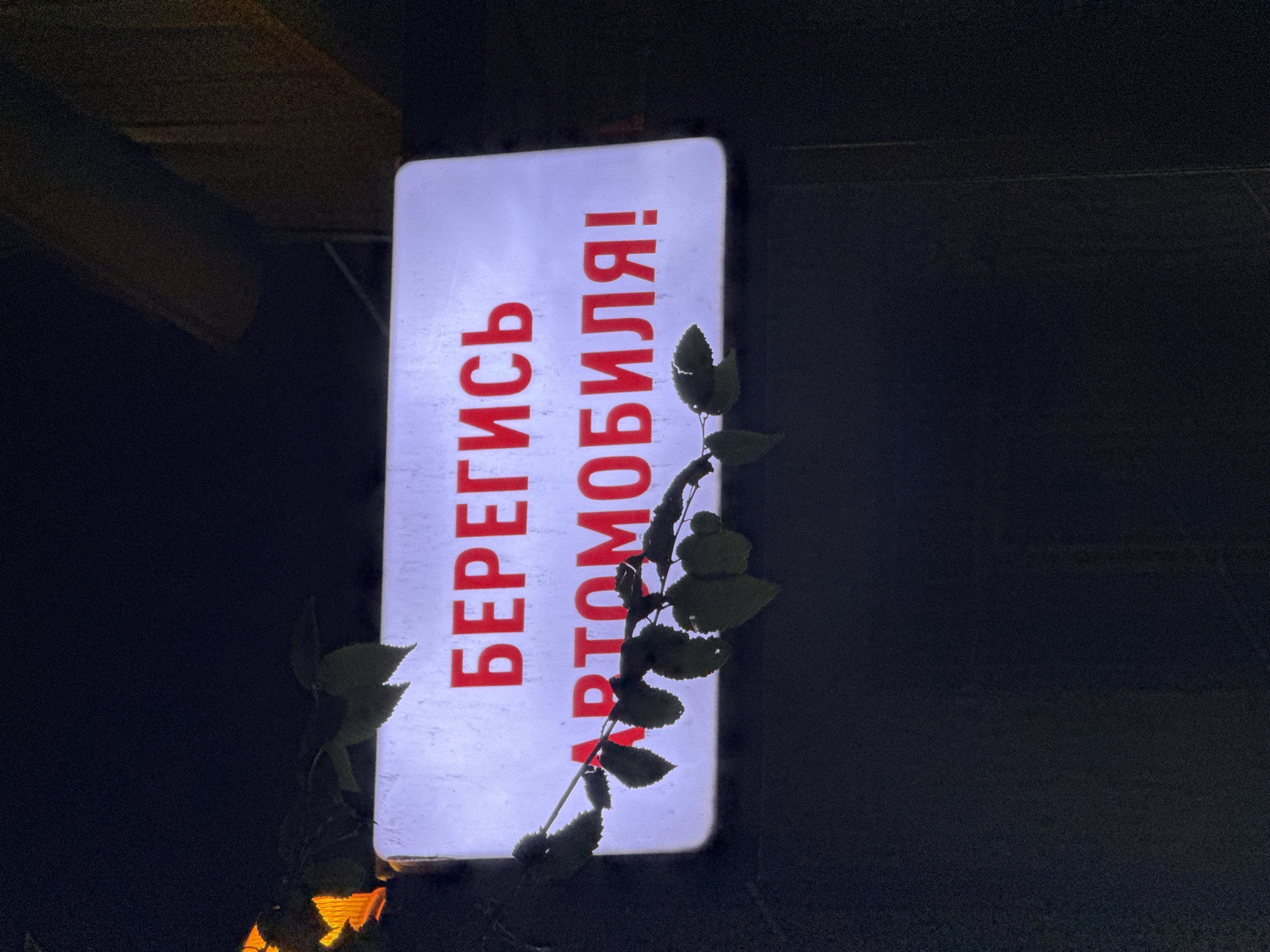 A white, illuminated rectangular sign with red Cyrillic text is mounted on a dark, textured surface. The text reads "БЕРЕГИСЬ АВТОМОБИЛЯ!", which translates to "Beware of the car!". A branch with dark green leaves hangs in front of the sign, partially obscuring the text. The background is dark, suggesting it is nighttime. The overall scene is dimly lit, with the sign being the primary light source. The sign appears to be located outdoors, possibly on a building facade or a pole. The text is in bold, block letters. The branch casts shadows on the sign. No people are visible in the image. The sign is slightly angled, and the illuminated surface shows some texture or imperfections.