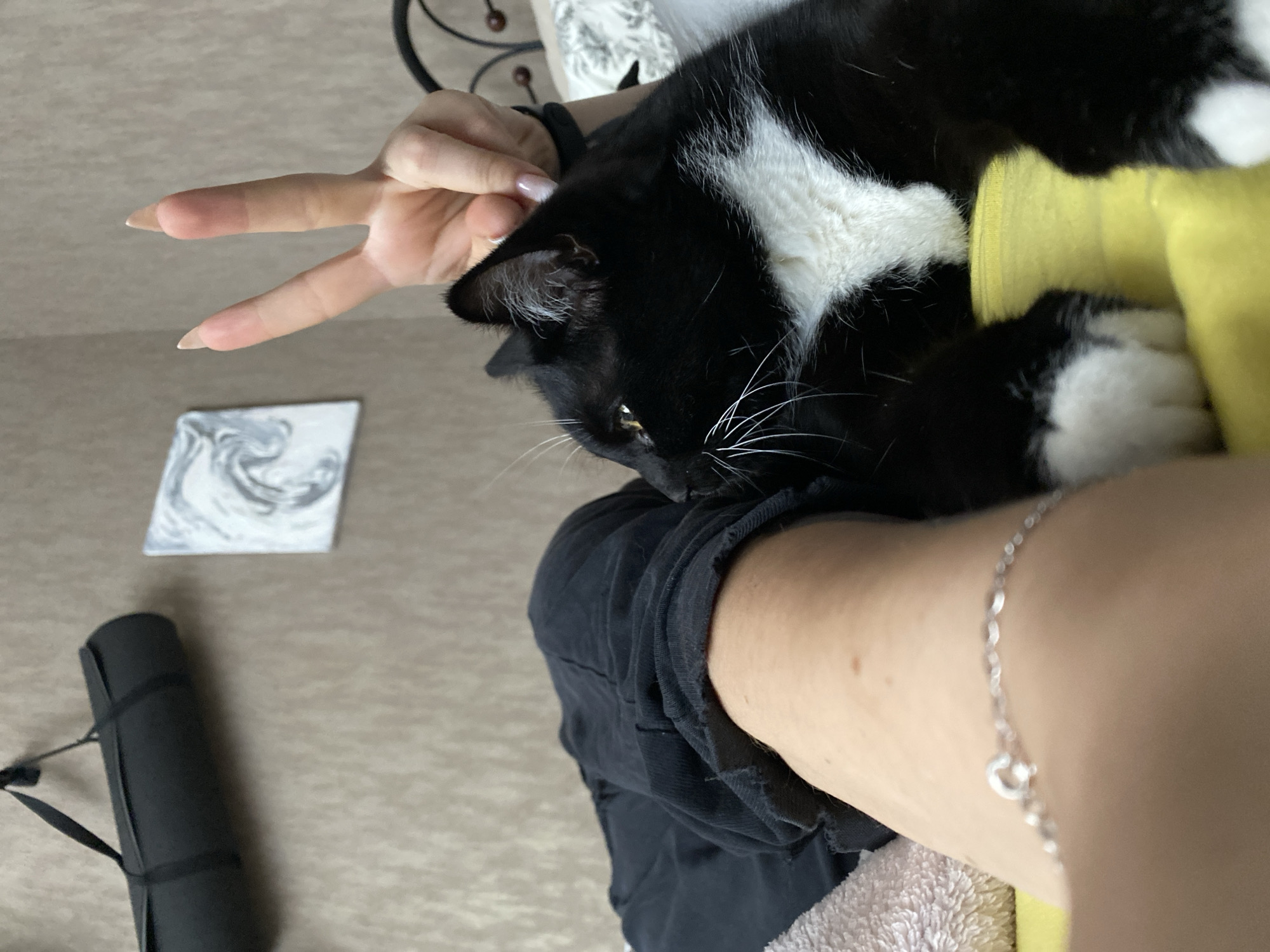 A medium shot captures a black and white cat lying on a yellow surface, likely a bed. The cat is nestled against a person's leg, which is clad in black pants. A hand with long, manicured nails is visible above the cat's head, forming a peace sign. In the background, a rolled-up black mat hangs on a textured wall, alongside a small framed artwork with a marble pattern. The overall setting appears to be a bedroom. The image does not contain enough information to determine its location in the city of Chaikovsky, Russia.