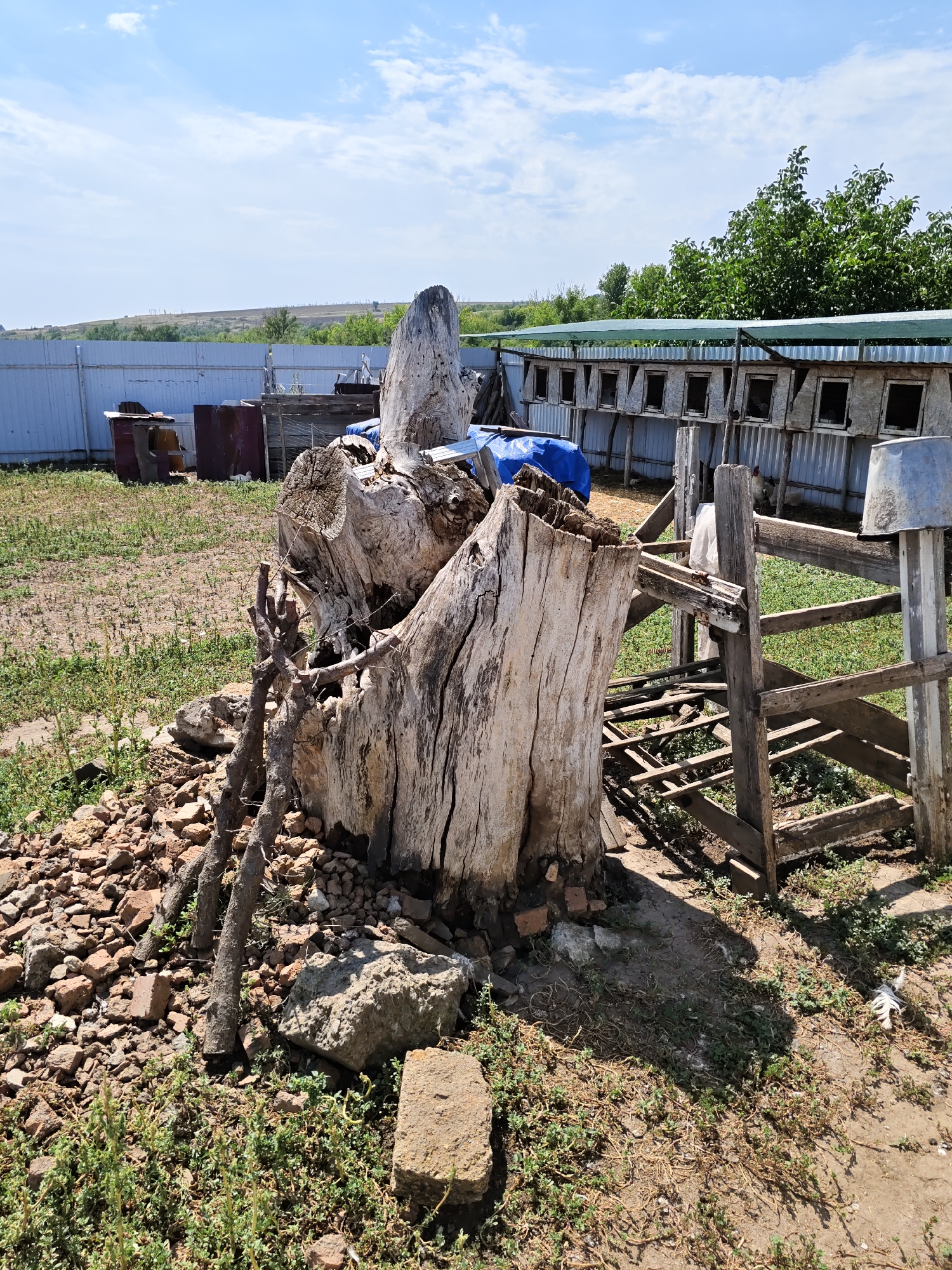 The image depicts an outdoor scene in a rural or semi-rural setting, possibly on the outskirts of Nizhnedonskoy, Russia, characterized by a warm, sunny day with a partly cloudy sky. Dominating the foreground is a large, weathered tree stump, its trunk cracked and gnarled, surrounded by a pile of reddish-brown bricks and rocks, with some dry twigs and branches scattered around its base. To the right of the stump, a rustic wooden structure, possibly part of a fence or an enclosure, stands with weathered planks.
In the midground, a long, low structure stretches horizontally, appearing to be a series of outdoor enclosures or animal pens, each with a dark opening. These enclosures are covered by a green mesh or tarp. Behind this structure, lush green trees form a dense line. To the left of the scene, a tall, light-colored metal fence runs along the property line. Several metal barrels and other debris are visible near the fence.
The ground is a mix of dry soil and sparse, dry vegetation, with some patches of green grass and weeds growing amongst the rubble. The overall impression is one of a somewhat unkempt, functional outdoor area, possibly a farm or a storage yard. There are no people visible in the image.