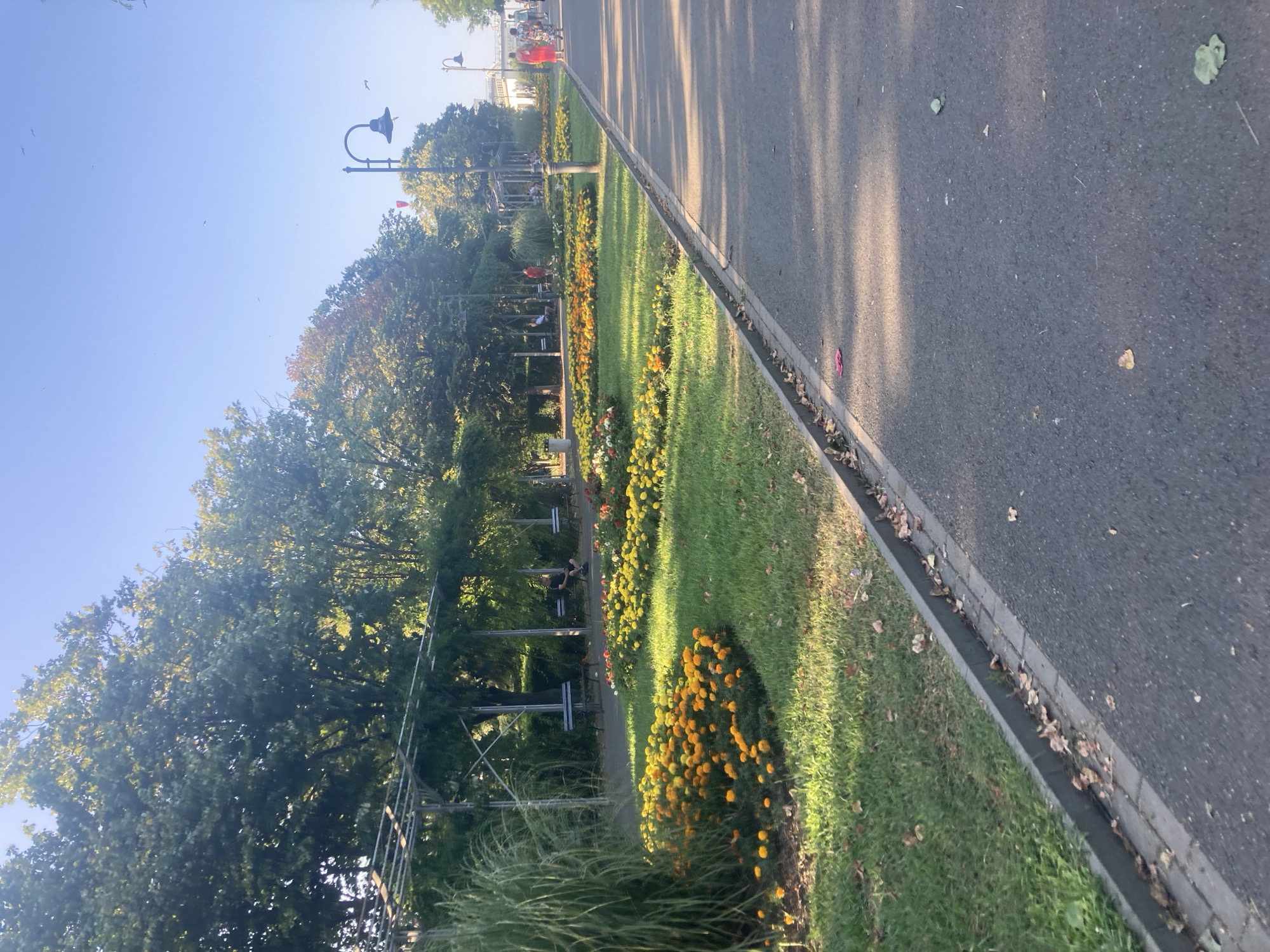 This image depicts a sunlit park scene, likely in the city of Burgas, Bulgaria, based on typical park aesthetics in the region. The foreground features an asphalt pathway with dappled shadows, suggesting late afternoon sun. To the left, a meticulously maintained flowerbed displays vibrant yellow and orange marigolds, bordered by lush green grass and a concrete curb. Beyond the flowerbed, several park benches are visible, some occupied by individuals. Tall, reedy grass and leafy trees create a verdant backdrop, with a few bare metal structures suggesting pergolas or trellises. In the distance, along the pathway, two individuals can be seen walking, one in a bright red dress. The sky is a clear, bright blue with a few distant birds. Streetlights are visible along the pathway.
