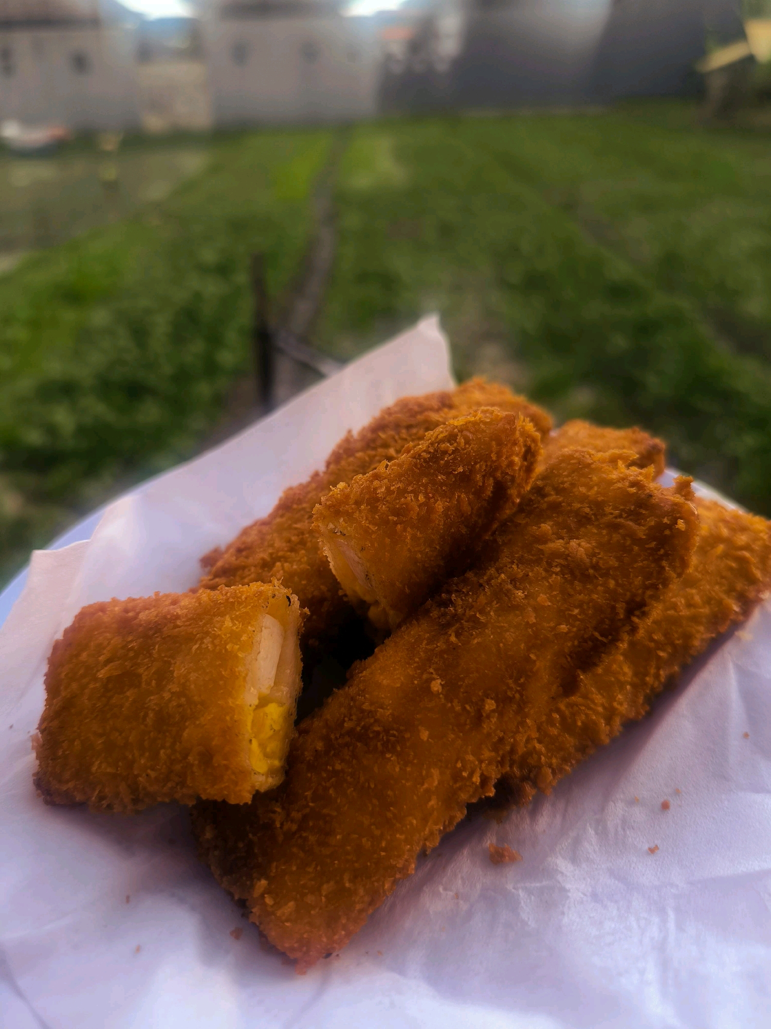 A close-up, slightly elevated shot shows a plate of golden-brown, breaded, fried food items on a white paper liner. The food appears to be finger-food or snacks, possibly spring rolls or similar items, with visible texture from the breading. In the background, a blurred expanse of green grass stretches out, suggesting an outdoor setting. Faintly visible in the far distance are structures that could be buildings, hinting at a semi-urban or suburban environment. The lighting suggests it might be daytime. There are no people visible in the frame. The overall impression is a casual serving of fried snacks in an outdoor, possibly park-like or garden, setting near buildings.