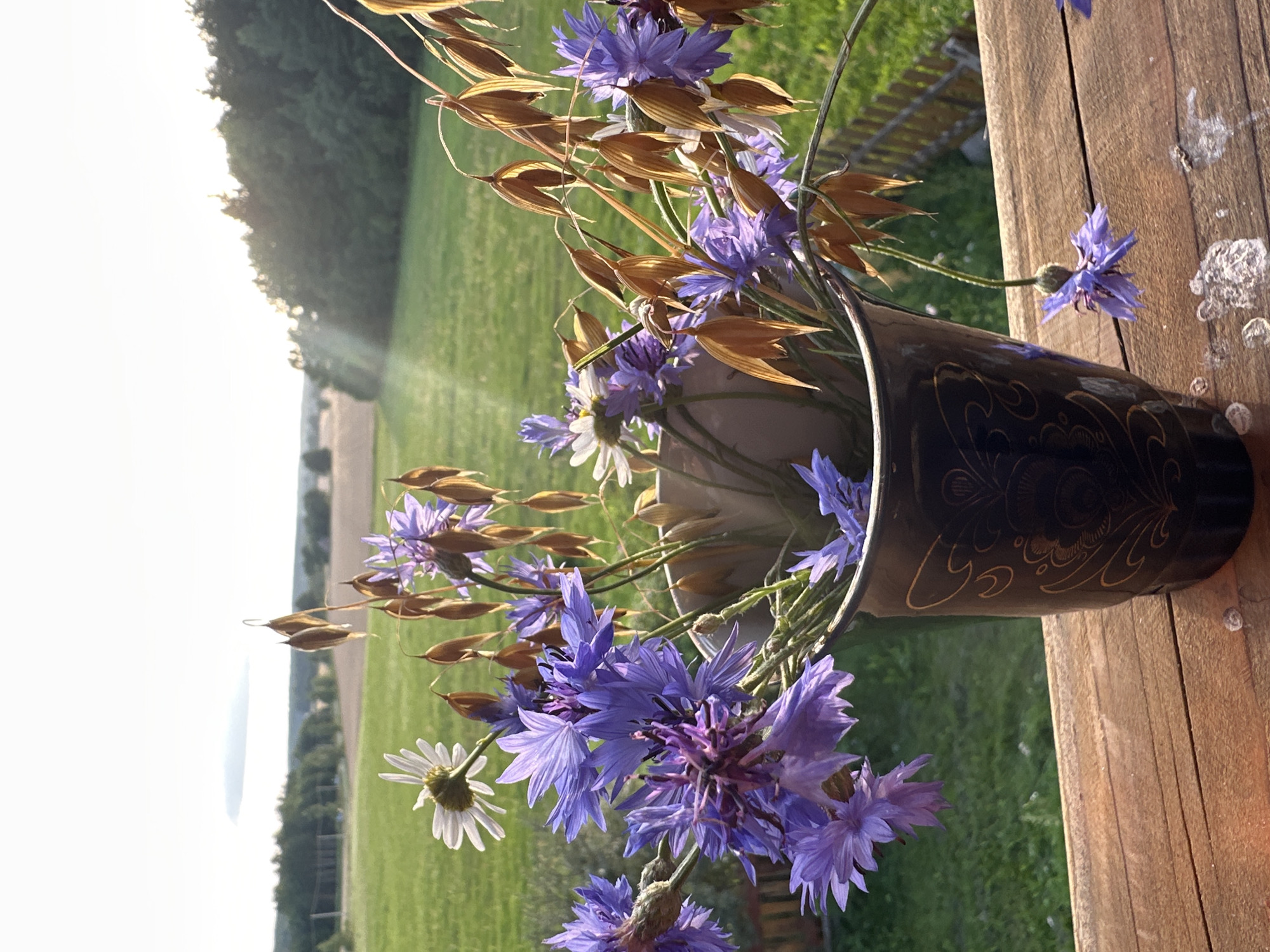 A bouquet of cornflowers and dried oat stalks sits in a dark, ornate vase on a wooden surface. The vase is positioned on a wooden railing with a backdrop of a rural landscape. In the distance, rolling green fields and trees are visible under a bright sky. Sunbeams are filtering through the trees, casting a warm glow on the scene. The image is a close-up shot, focusing on the floral arrangement and the immediate surroundings, with the expansive landscape serving as a natural, serene background. The location is specified as Norviliškės, Lithuania.