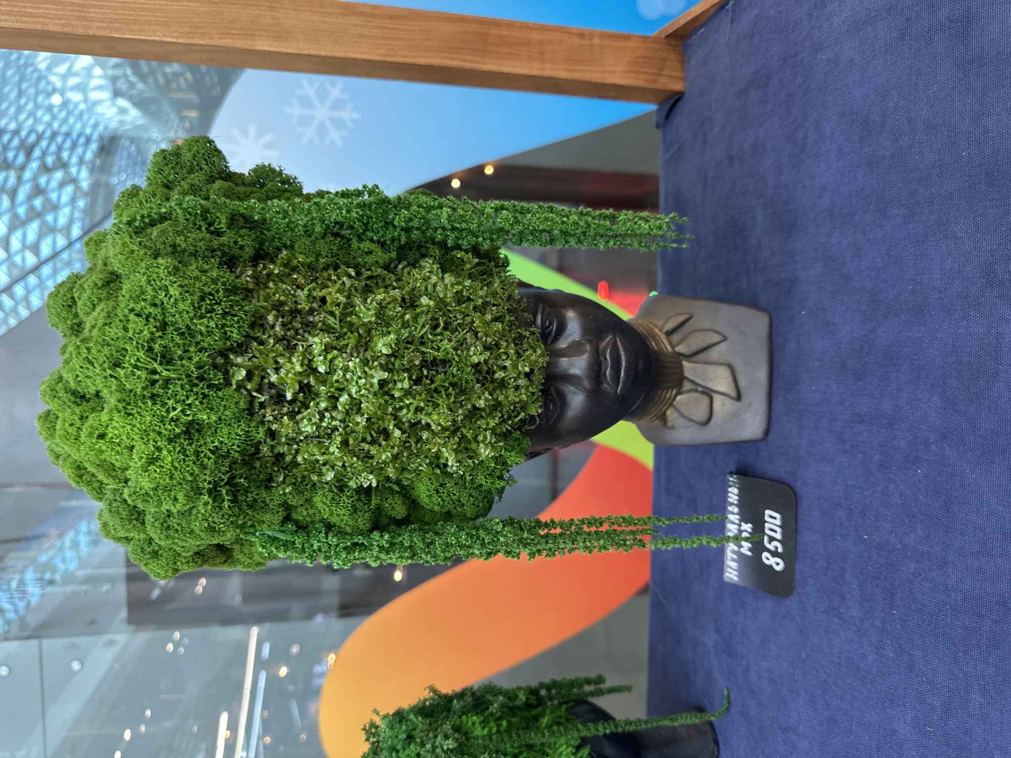 The image shows a decorative bust of a person's head, covered in green moss, with cascading moss tendrils hanging down. The bust is placed on a dark blue cloth surface. In front of the bust, a small black sign displays white text: "НАТУРАЛЬНЫЙ МОХ" and below it, "8500". The background is blurred, but appears to be an indoor setting with large windows, reflecting a sky-like pattern and a large, orange, abstract shape. To the right, a wooden frame is visible, and further in the background, a blue wall with white snowflake decals is present. Based on the snowflake decals and the overall aesthetic, this display is likely located in Sochi, Russia, possibly at a winter-themed exhibition or a florist shop.