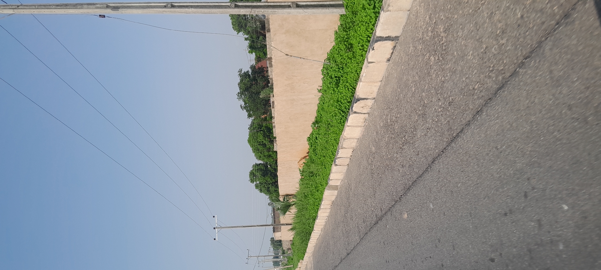 The image depicts a roadside scene in Jalingo, Nigeria, under a clear blue sky. A paved road runs diagonally from the bottom left to the mid-right of the frame. Along the right edge of the road is a sidewalk or curb constructed of concrete blocks. Beyond the curb, a strip of lush green vegetation grows. Behind the vegetation, a tall, light brown wall stretches horizontally across the middle of the image. Several trees with dense green foliage are visible above the wall, with some taller trees in the background. Power lines are strung across the sky, supported by wooden utility poles that are also visible along the roadside. One prominent concrete utility pole with attached equipment stands near the right edge of the image. The overall impression is that of a street in a developing urban or suburban area, characterized by infrastructure for electricity distribution and a mix of natural and man-made elements.