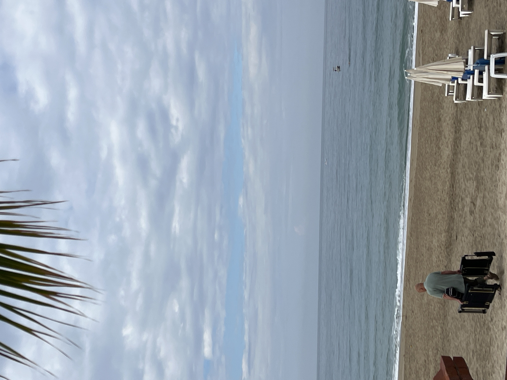 The image depicts a beach scene likely in Alanya, Turkey, characterized by a wide stretch of sandy beach meeting the sea. The sky is overcast with extensive cloud cover. In the foreground, a person sits in a beach wheelchair along the shoreline. Several beach umbrellas and chairs are neatly arranged on the sand. A palm tree's fronds extend into the image from the left side, partially obscuring the view. The ocean stretches out towards the horizon, with a few small boats visible in the distance. The overall scene suggests a relaxed, coastal setting, possibly a tourist location.