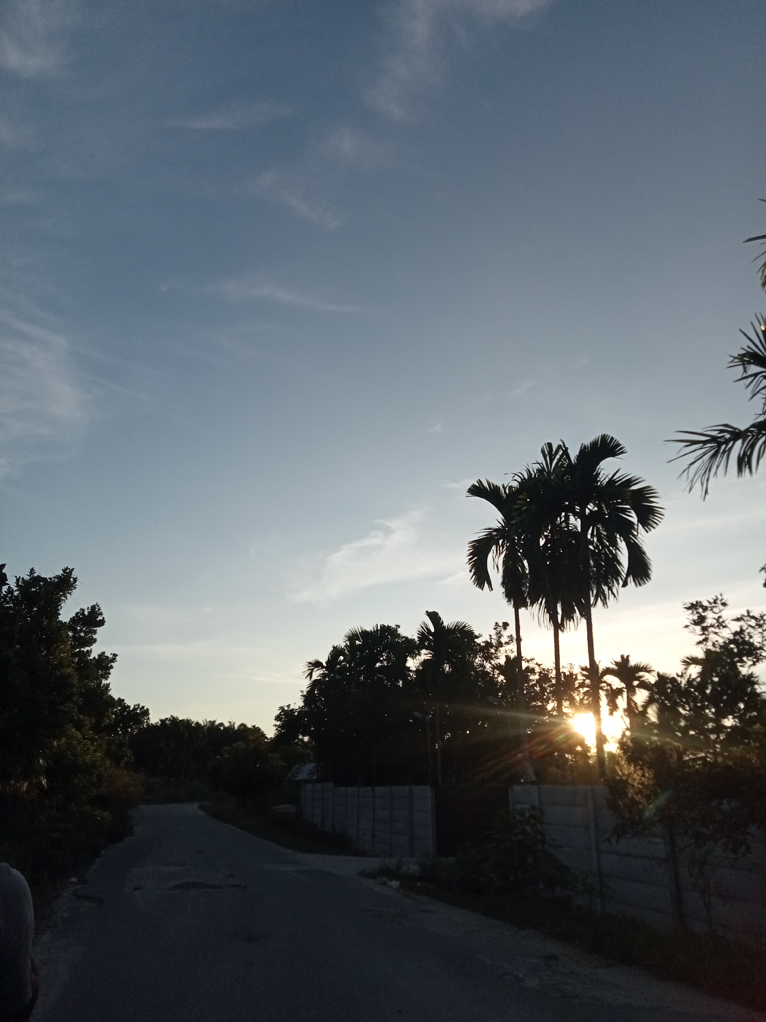 This is a medium shot, outdoor photograph taken during the daytime in Kualu, Indonesia. The image features a road curving through a rural or suburban area, bordered by dense foliage and trees. A concrete wall runs along the right side of the road, separating it from the vegetation behind. The sun is low in the sky, casting a warm glow and creating a starburst effect as it shines through the palm trees. The sky is a clear blue with a few wispy clouds. The overall mood of the image is serene and tranquil, evoking a sense of peace and quiet.