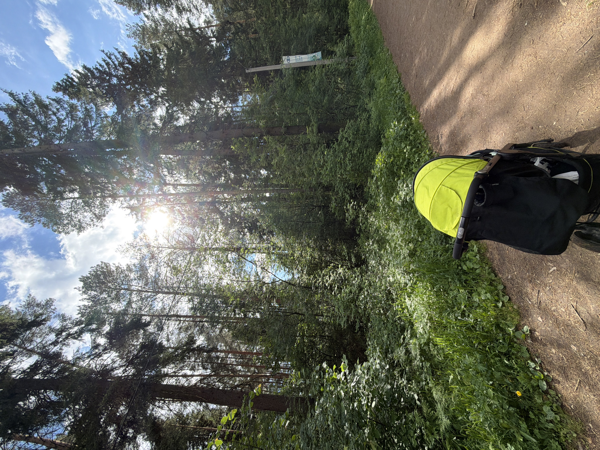 The image captures a sunny day in what appears to be a park or wooded area. Tall trees line the left side of the frame, their canopies reaching towards a bright, blue sky with scattered clouds. Sunlight filters through the trees, creating a lens flare effect. A stroller with a bright yellow canopy and black frame is positioned on the right, partially obscuring a dirt path that runs alongside the trees. The vegetation along the path is lush and green. A signpost is faintly visible among the trees. The location is Votkinsk, Russia.