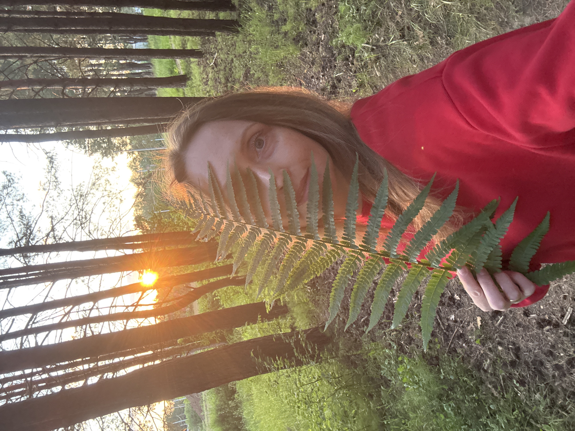 An outdoor, selfie-style photograph captured at eye level shows a fair-skinned woman with shoulder-length auburn hair wearing a red sweatshirt. She is holding a large fern frond in front of the right side of her face, obscuring her eye and cheek. The background consists of a forest with tall, slender pine trees that are lit by the warm glow of the setting sun. The ground is covered in dry pine needles, dirt, and patches of green grass and low-lying plants. The sun is visible through the trees on the left side of the image, casting long shadows and creating lens flare. The overall impression is of a naturalistic, serene setting during golden hour.
