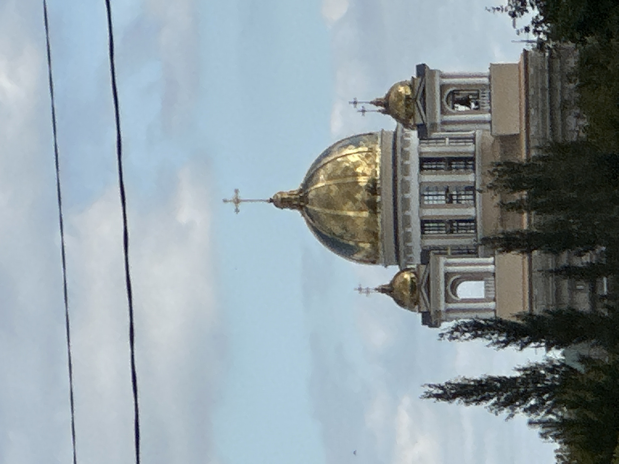 The image shows a large, golden-domed cathedral, likely the Church of the Resurrection of Christ in Podolsk, Russia. The cathedral features multiple smaller golden domes topped with crosses. The main dome is the largest and centrally located, with two smaller domes on either side. The building has a classical architectural style, with columns and arched windows. A bell tower is visible on the right side of the structure. In the foreground, there are tall, dark green trees obscuring the lower part of the building. Two thin, dark wires run horizontally across the top of the image, against a cloudy sky. The overall impression is of a grand religious building set against a natural backdrop.