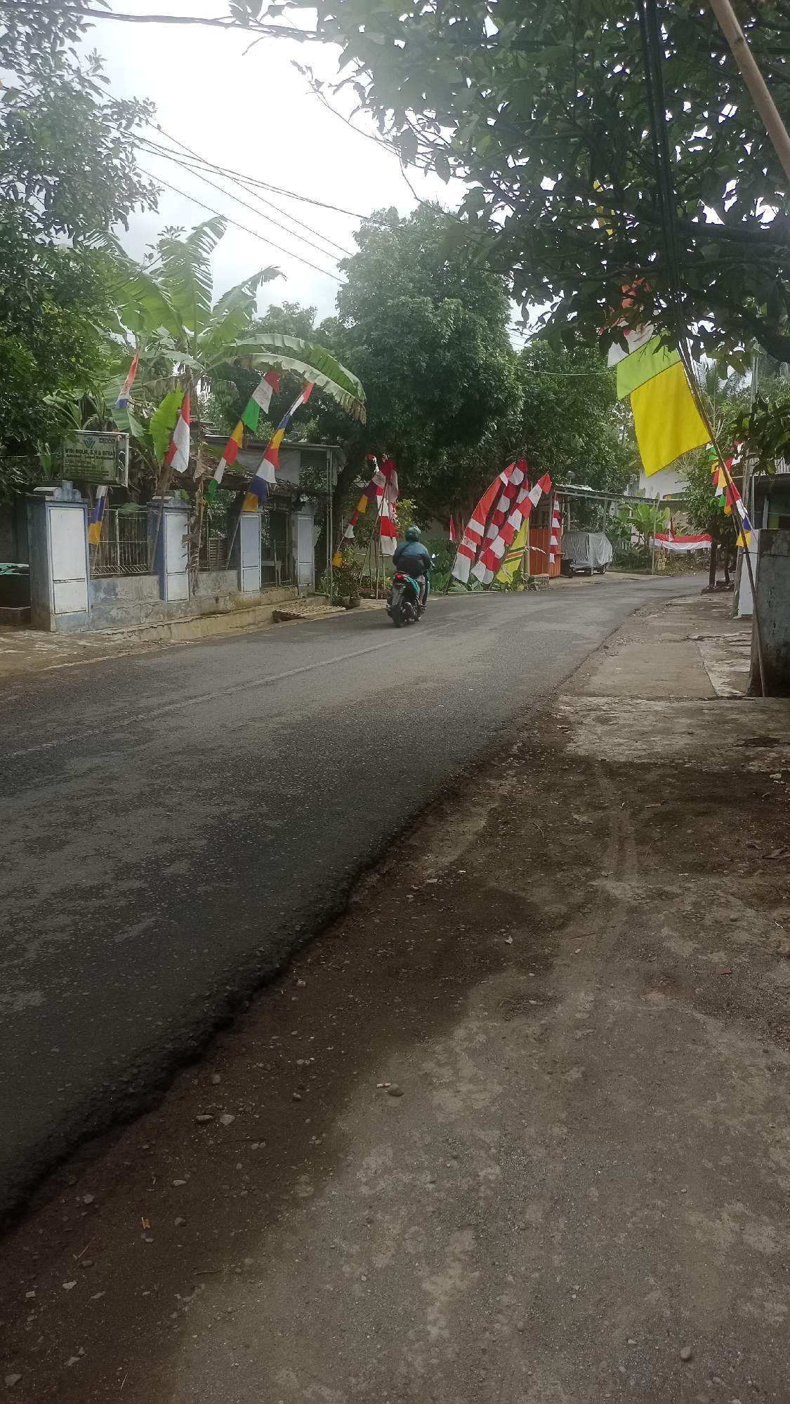 A residential street in Cibeber, Indonesia, is decorated with numerous small flags of white and red, the national colors of Indonesia, along with some yellow flags. The street is paved with asphalt and has a dirt shoulder. Trees with lush green foliage line the sides of the road. Buildings with blue and white facades are visible behind a low fence on the left side of the street. On the right side, there are more buildings and a large yellow flag. A person on a motorcycle is riding away from the camera on the left side of the road. The sky is overcast, indicating a cloudy day. The overall scene suggests a celebration or commemoration, possibly related to Indonesian Independence Day.