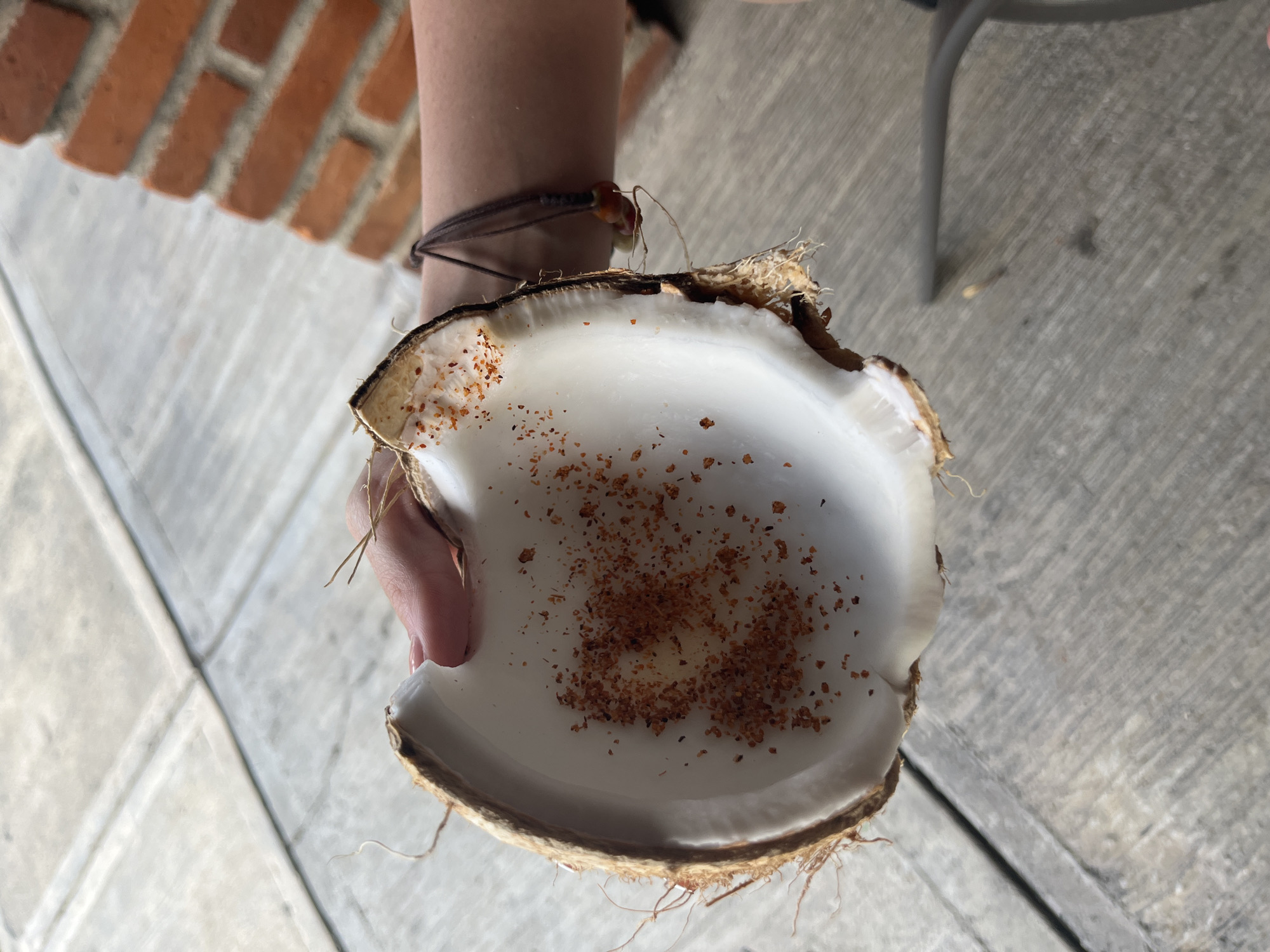 A person is holding a halved coconut shell in their hand. The coconut shell is white on the inside and brown on the outside, with fibrous husk attached. There is a scattering of brown specks on the interior of the coconut shell. The person is wearing a bracelet. The location appears to be outdoors, with a brick wall and grey pavement visible in the background.