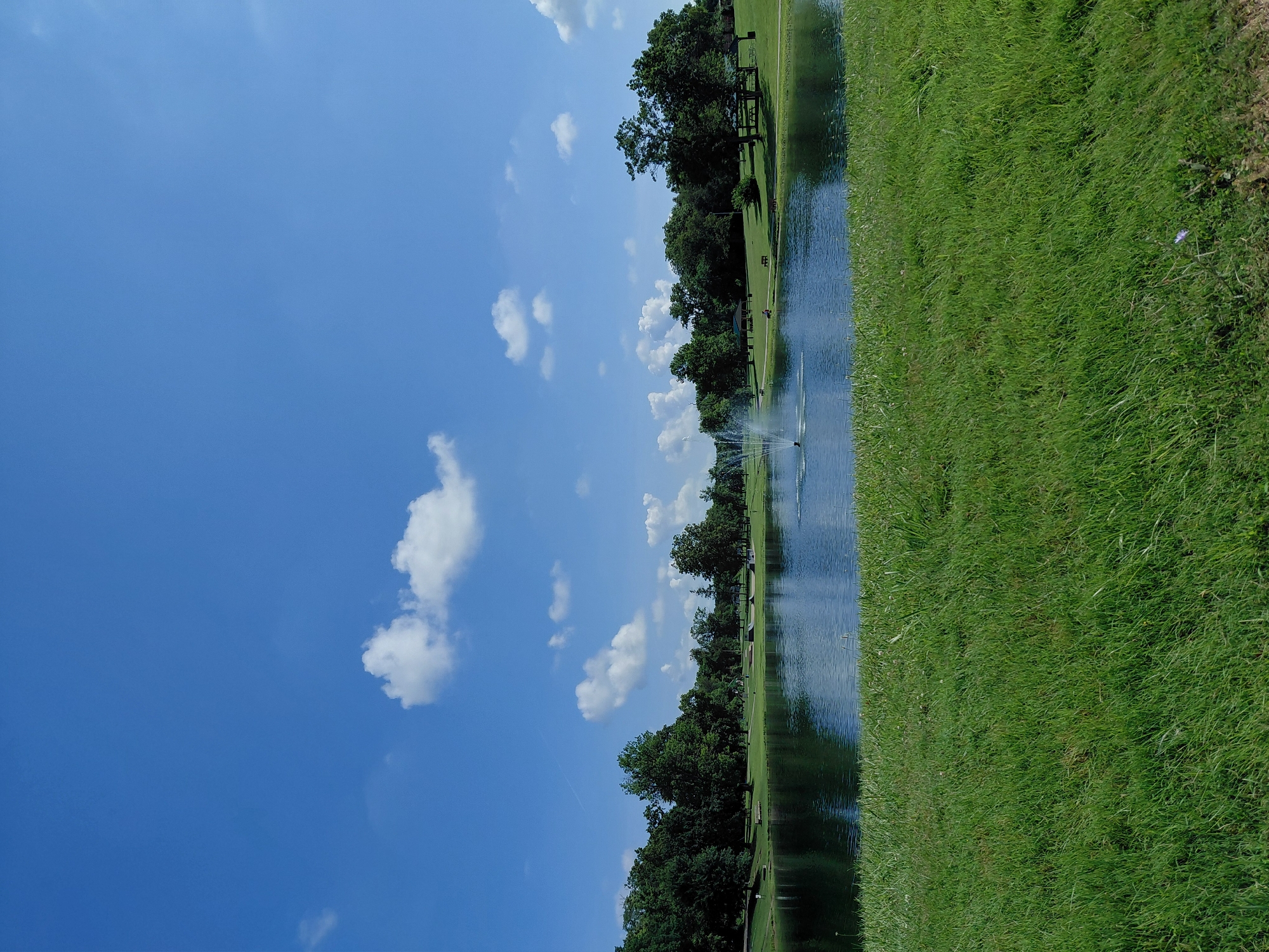 This is a landscape photograph taken on a clear day with a bright blue sky dotted with scattered white clouds. In the foreground, a vibrant green lawn stretches out. Beyond the lawn is a tranquil body of water, likely a pond or lake, with a fountain actively spraying water in the center. The water reflects the blue sky and the surrounding trees. The middle ground features a treeline with lush green foliage. Several picnic shelters and benches are visible scattered amongst the trees and on the grassy areas around the water's edge, suggesting a park or recreational area. The overall impression is a peaceful outdoor scene in a park.