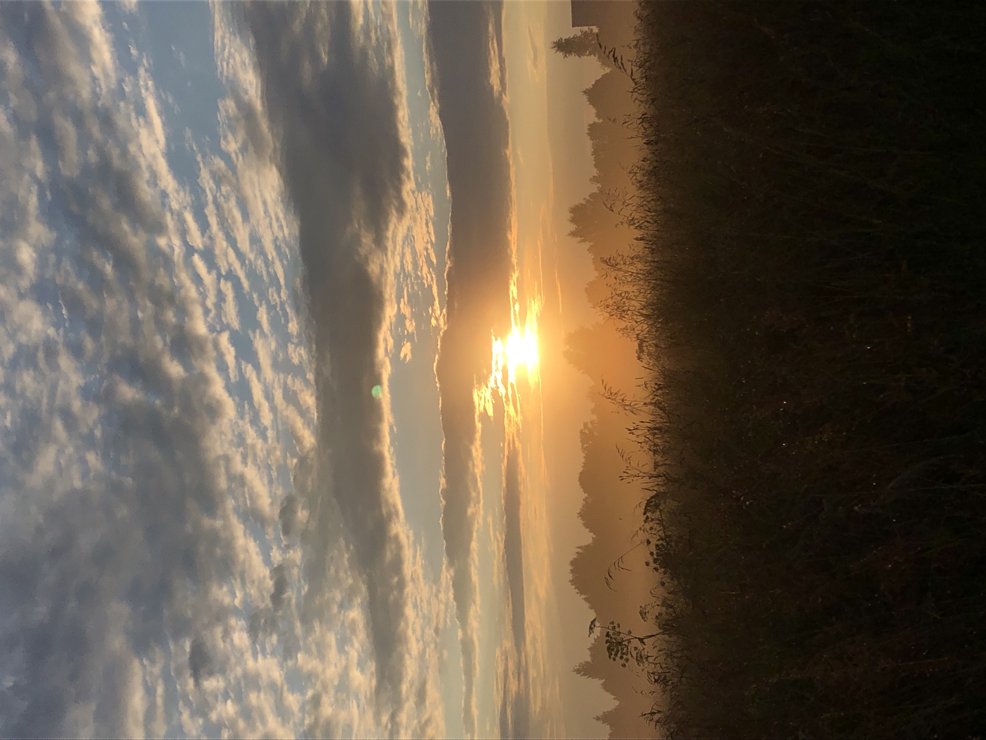 The image depicts a sunrise over a rural landscape with a silhouette of trees and tall grass in the foreground. The sky is filled with clouds, some of which are illuminated by the rising sun. The sun itself is a bright orb peeking through the clouds, casting a warm, golden light on the scene. The tall grass in the foreground appears wet, possibly with dew, and the trees in the background are silhouetted against the bright sky. A hazy mist hangs in the air, creating a soft, diffused lighting effect. There are no people or animals visible in the image. The location is stated to be in Makeikha, Russia.
