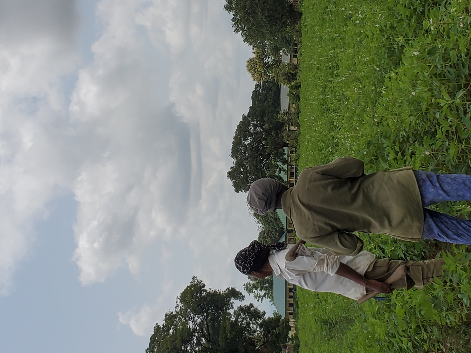 Two individuals stand in a field of leafy green plants with small white flowers. The person closer to the camera wears a white long-sleeved shirt, khaki pants, and a black and white patterned headscarf. The other person wears a green jacket and blue pants. Trees are visible in the background, with buildings partially obscured by the foliage. A wide expanse of cloudy sky dominates the upper left portion of the frame. The setting is outdoors. The location is in Mararaba, Nigeria.