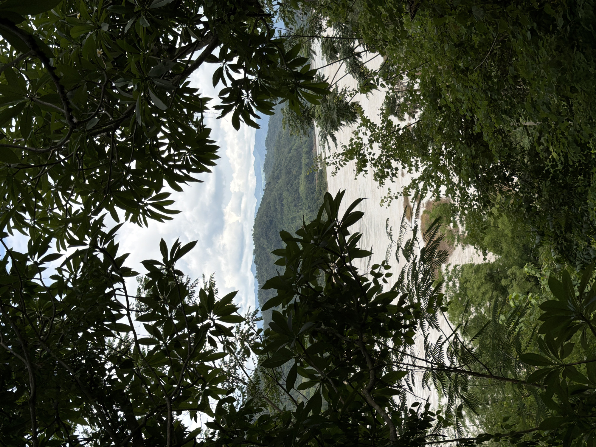 A vertical, full shot captures a lush, tropical landscape viewed through a frame of dark green foliage. The foreground is dominated by large, dark green leaves and branches of trees, creating a natural frame that partially obscures the view of the scene beyond.
In the middle ground, a wide, muddy river flows from left to right. The river's surface appears calm with some subtle ripples. The banks of the river are lined with dense, green vegetation, including trees and smaller plants. Beyond the river, a series of rolling hills covered in verdant forest rise towards the horizon. The hills appear layered, with some distant mountains faintly visible under a cloudy sky.
The sky is overcast with large, grey clouds, suggesting a humid or potentially rainy day. The overall impression is one of a remote, natural environment with a prominent river system. The specific location in Muangkeo, Laos, contributes to the context of a tropical Southeast Asian setting. There are no people or man-made structures prominently visible in this natural scene.