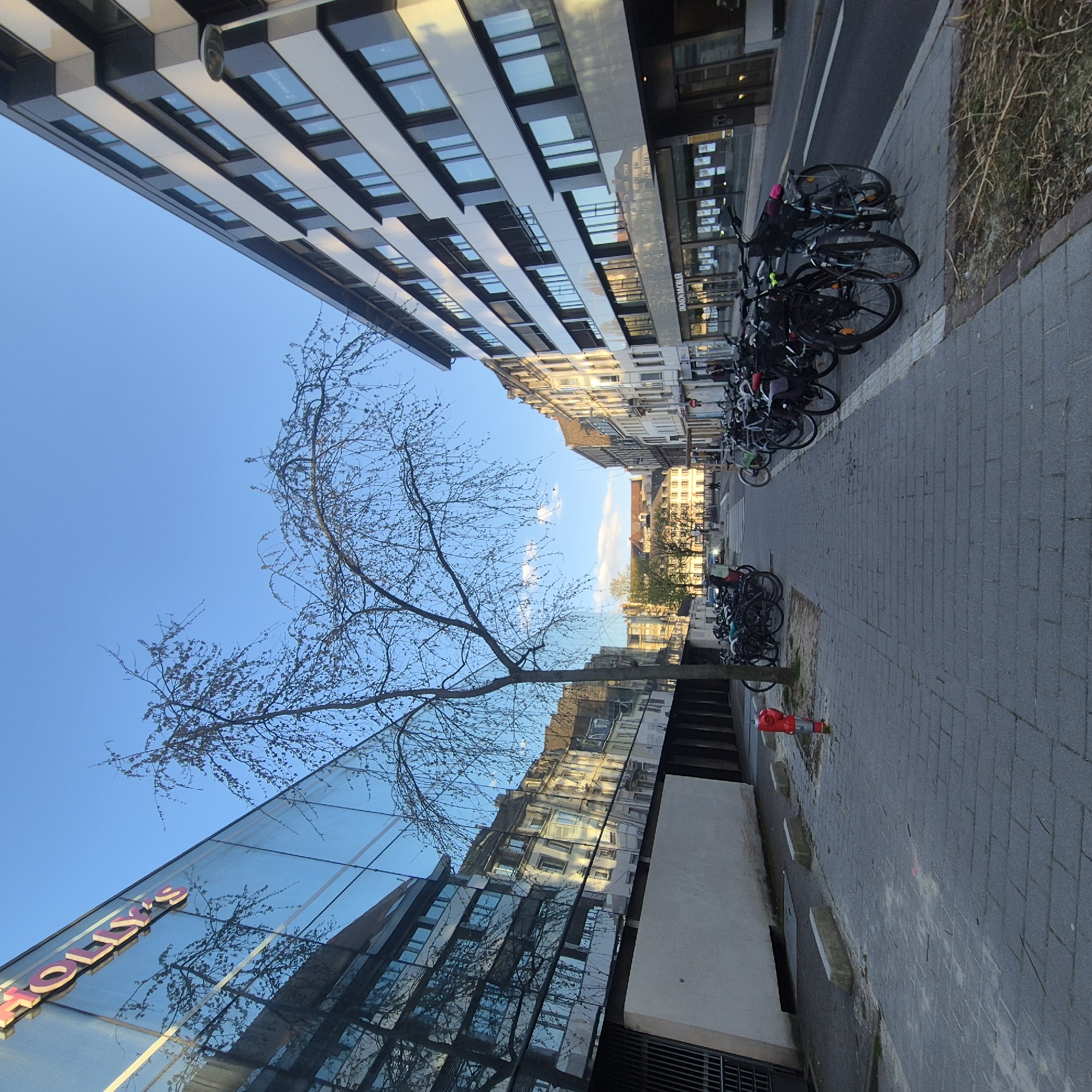 The image shows a street scene in Strasbourg, France. A sidewalk paved with gray rectangular stones runs along the right side of the frame. A row of parked bicycles lines the edge of the sidewalk. A red fire hydrant is visible near the bottom right corner. To the left of the sidewalk is a modern building with a glass facade reflecting the surrounding buildings. A tree with bare branches stands in front of the building, partially obscuring the reflection. The word "HOLLY'S" is visible on the building facade in large pink letters. Across the street is another tall, modern building with a black and white striped design. The sky is clear and blue. In the distance, buildings and trees can be seen, suggesting a view down the street.