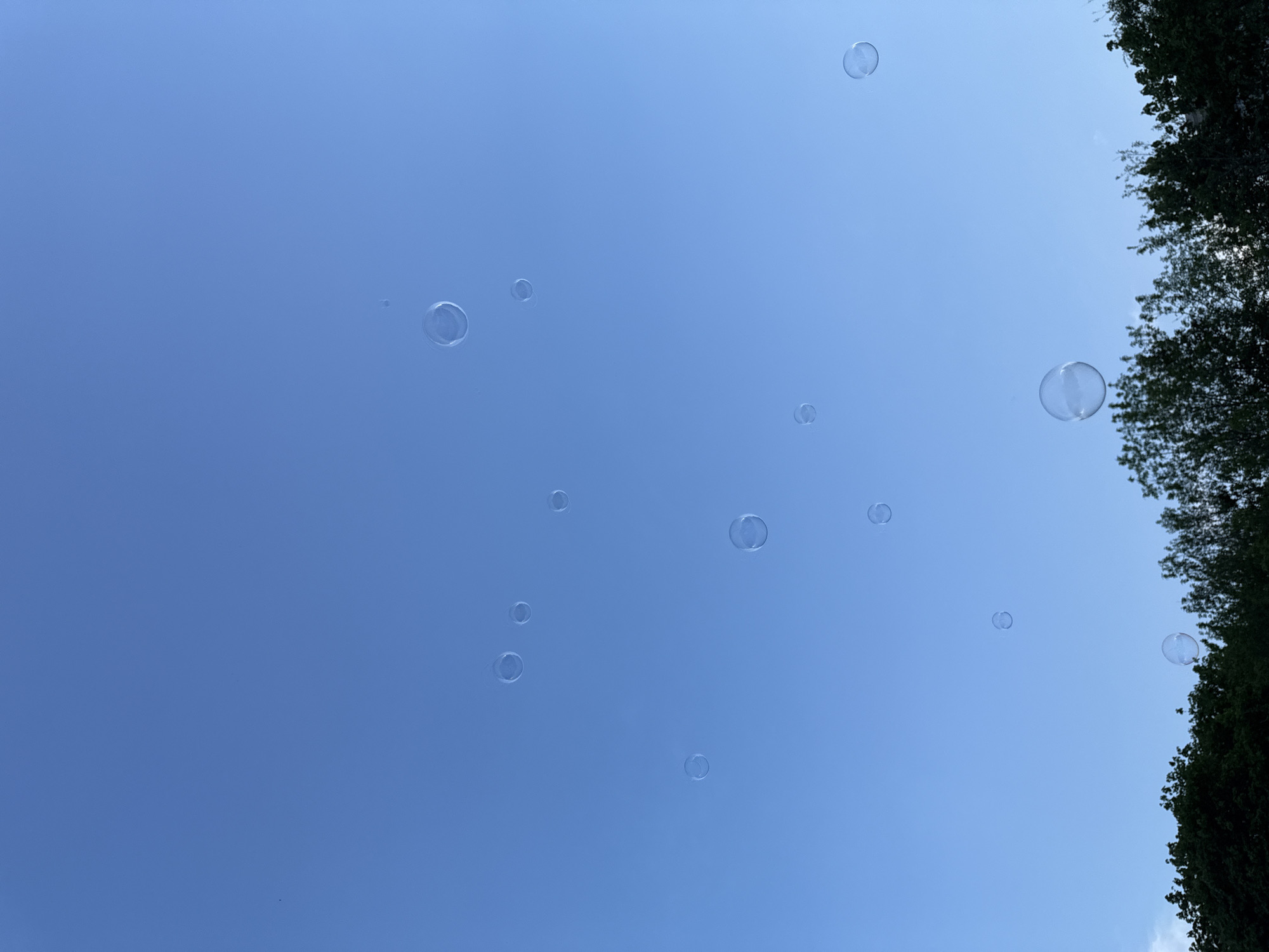 The image shows a clear blue sky with numerous soap bubbles floating in the air. A portion of tree foliage is visible on the right side of the image. There are no people or any other identifiable objects in the frame, besides the trees and bubbles. The exact location in Moscow, Russia, cannot be determined from the image alone, although the presence of trees suggests it could be a park or green space within the city.