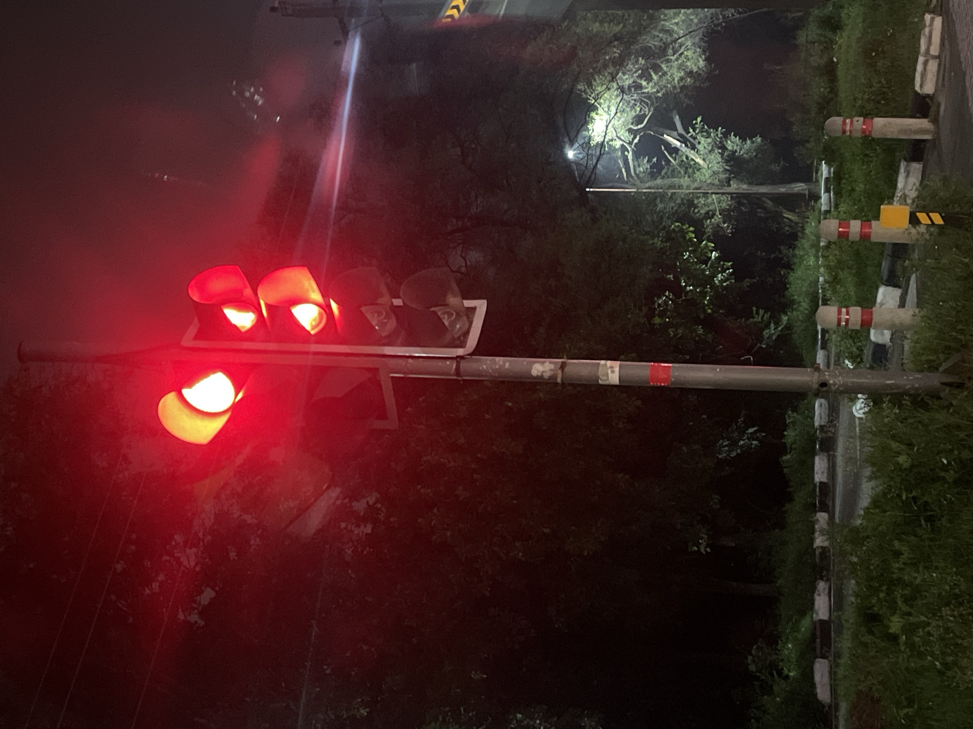 The image depicts a traffic light at night, indicating a red signal. The traffic light is mounted on a grey pole with red and white reflective tape. The light itself has three circular lenses, all illuminated in red. Behind the traffic light, a dense cluster of trees is visible, partially obscured by the red glow. Further in the background, a street lamp illuminates a tree with twisted branches. The ground in the foreground is covered with grass and features a concrete divider with alternating black and white markings, as well as several cylindrical bollards with red and white stripes. The overall scene suggests a roadside environment in an urban area, likely Chandigarh, India, given the common placement of such traffic control and road delineation elements in the city. The time of day is clearly night due to the darkness and the illuminated traffic light.