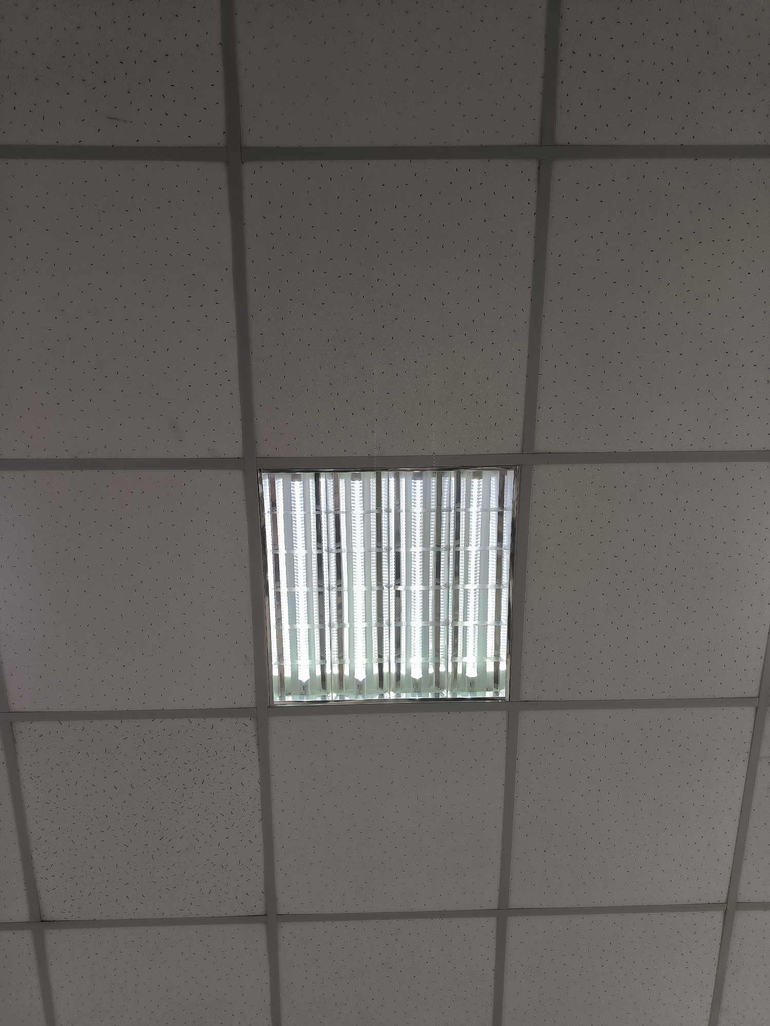 A fluorescent light fixture is visible in the center of a suspended ceiling. The ceiling is made of square tiles with a speckled texture. The light fixture contains multiple long, thin fluorescent bulbs. The overall environment appears to be an indoor space, possibly an office or commercial building. The location is Yuzhno-Sakhalinsk, Russia.