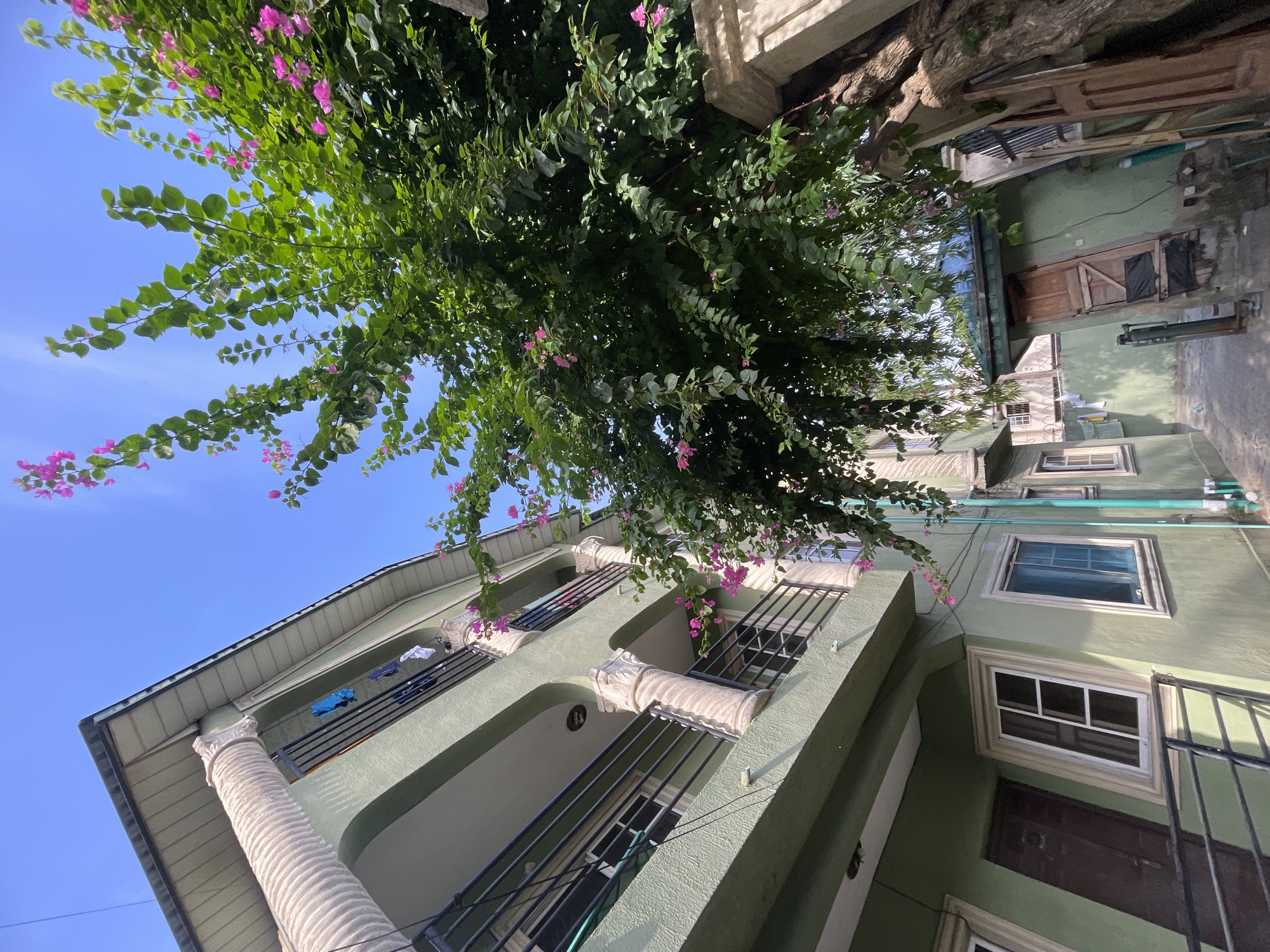 A low-angle shot, taken in Ado, Nigeria, captures a sunlit outdoor scene featuring a building partially covered by lush foliage. A large, dense bush, adorned with numerous small pink flowers (resembling Bougainvillea), extends across the upper and central parts of the frame, its vibrant green leaves contrasting with the clear, bright blue sky visible above and between the branches.
To the left and center, a multi-story building, painted in a light sage-green hue, rises. It features balconies with black metal railings and ornate white, fluted classical columns. On one of the upper balconies, clothes, including a blue shirt and white items, are hanging to dry. Several windows with white frames are integrated into the facade.
To the right of the main building, an adjacent structure or an alleyway is visible, also with green walls and various windows. Light blue-green pipes run along this wall. A wooden door can be seen, and in the upper right, a rough tree trunk or wooden structure is present. The bright sunlight indicates daytime, likely morning or afternoon, under clear weather conditions. While no people are visible, the hanging laundry suggests human activity within the residential setting.
