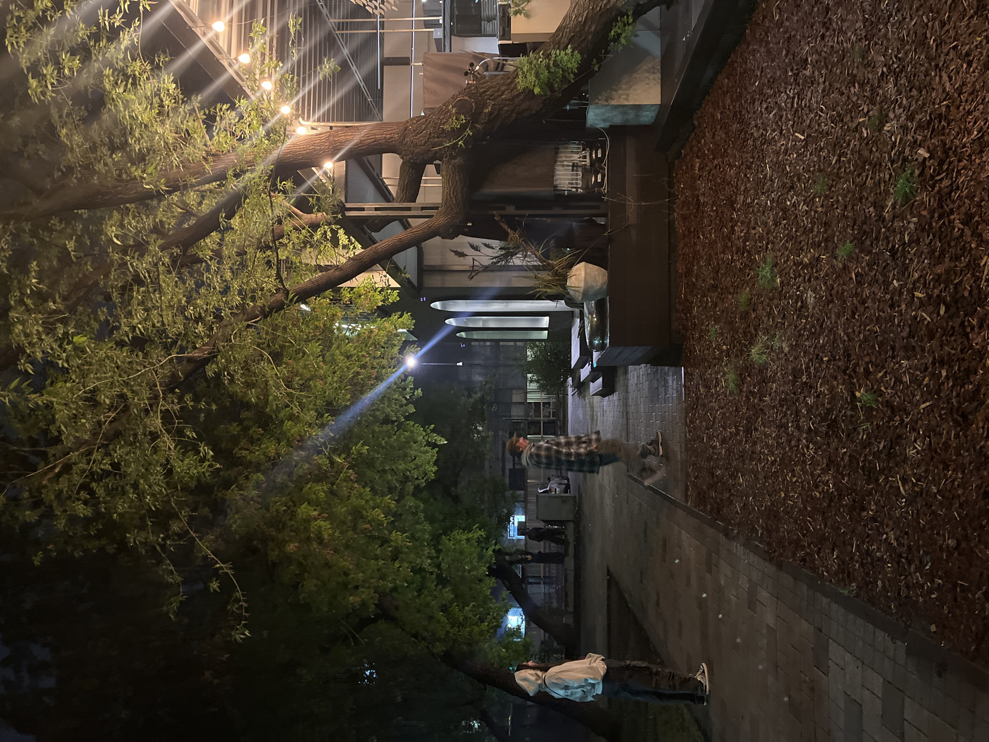 The image shows an outdoor scene at night. A pathway, paved with light gray bricks, stretches into the distance, lined by trees with dense green foliage. String lights hang above, illuminating the area. A figure in a light-colored jacket and dark pants stands to the side of the pathway. Another person wearing a plaid shirt and dark pants walks along the path. Mulch covers a raised planting bed on the right side of the path. In the background, the architectural features of buildings, including a colonnade, can be seen. This scene is from Krasnoyarsk, Russia.