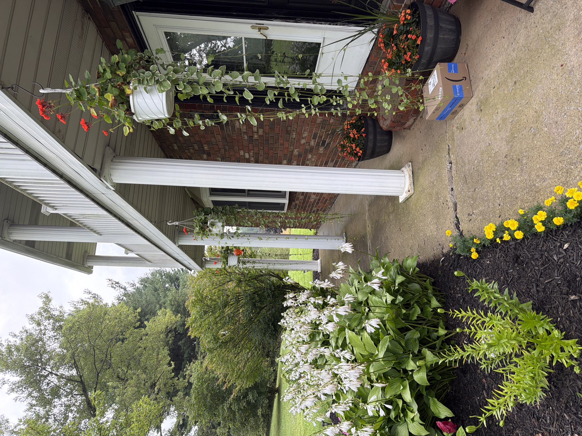 A porch scene in East Palestine, Ohio, shows a brick house with a white-columned porch. White hosta flowers with long white blooms are in the foreground to the left, with a smaller plant and yellow flowers to the right. Hanging baskets with red flowers and trailing green plants are suspended from the porch ceiling. Two potted plants with orange flowers sit on the porch floor. A blue-taped cardboard Amazon box rests on the concrete walkway in front of the door. Trees and green grass are visible in the background.