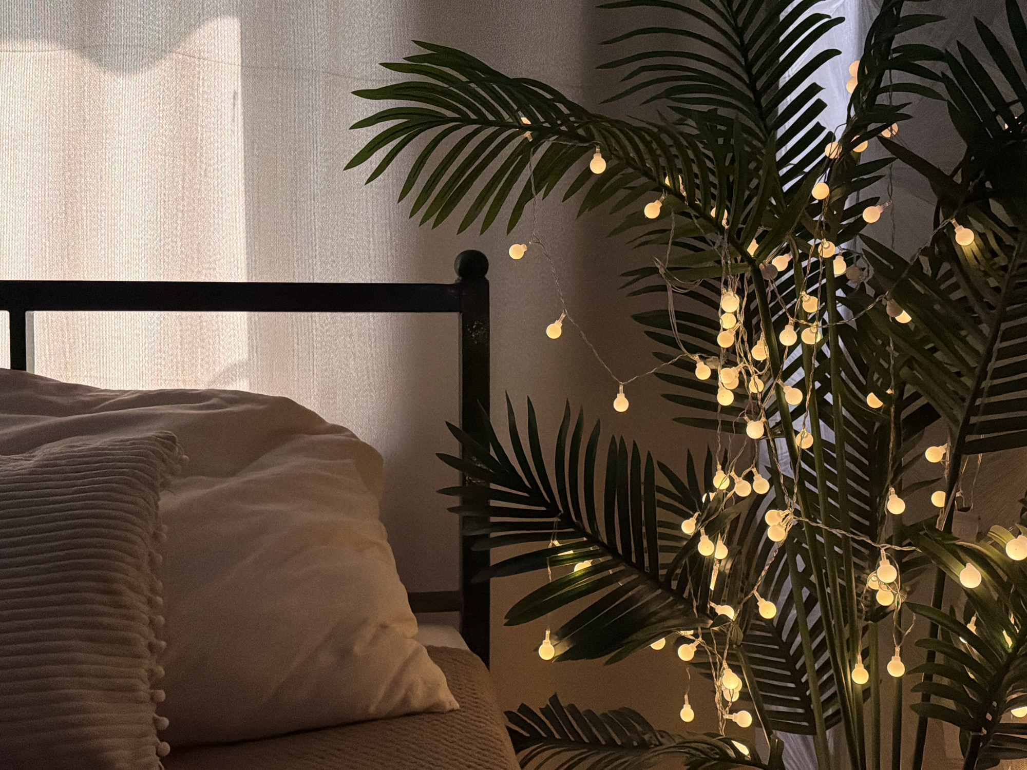 A close-up, medium shot captures a bed with a black metal headboard, draped with light-colored bedding and pillows. To the right of the bed, a large plant with dark green leaves is adorned with a string of small, warm-toned fairy lights. The lights are illuminated, casting a soft glow on the surrounding foliage and the bed. The background is a textured wall with a sheer curtain allowing diffused light to enter from the left. The scene appears to be indoors, possibly a bedroom, in a dimly lit environment accentuated by the fairy lights. The location is Unknown, Unknown.