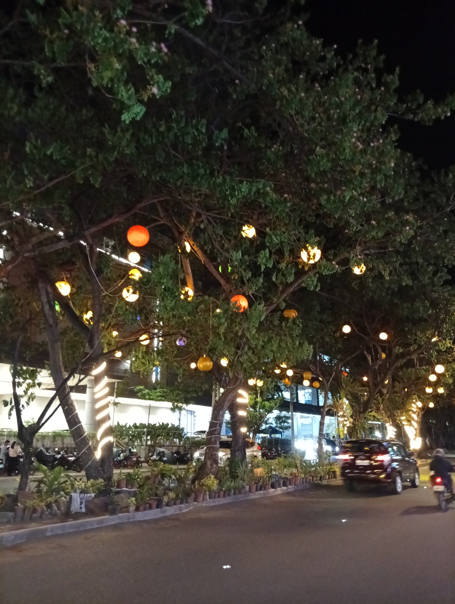 The image captures a street scene in Davao City, Philippines, at night. The street is lined with trees decorated with hanging lanterns, illuminating the area. A black SUV is visible on the road, and a motorcycle is driving nearby. On the side of the street, there are potted plants and parked motorcycles. Buildings with illuminated windows are visible in the background. Some people are standing or walking near the parked motorcycles. The lighting is generally dim, provided mainly by the lanterns and the lights from the buildings and vehicles.