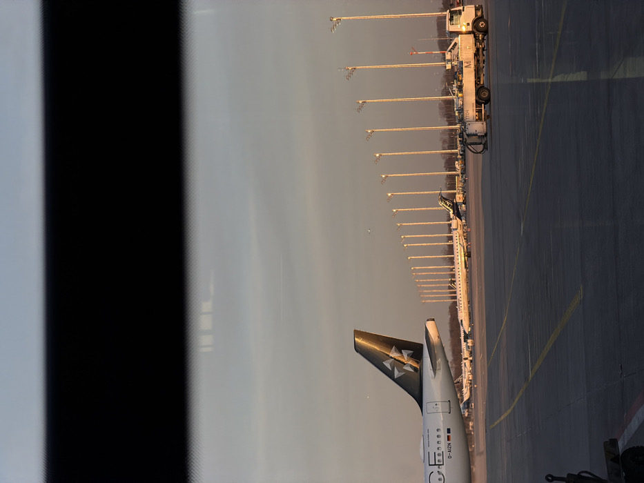 The scene depicts an airport apron at Munich Airport (MUC) in Freising, Germany, likely during sunrise or sunset, viewed through a window with a dark, blurred horizontal obstruction at the top and reflections on the glass.
In the foreground, dark concrete pavement with yellow and white markings is visible. A dark, indistinct mechanical object is partially cropped at the bottom left.
In the midground, to the left, the tail section and rear fuselage of a white commercial aircraft (registration D-AIZN, with a German flag below) are prominent. The tail is dark with a gold, stylized multi-pointed star logo. Extending diagonally from the mid-left to the mid-right is a uniform line of approximately twenty tall, slender light poles, each topped with multiple luminaires, receding into the distance. Several other commercial aircraft are parked behind these poles, including one with a distinct yellow-green stripe along its fuselage. To the right, a white fuel or service truck, marked "TTO4" and "M", is stationary on the apron.
The background features a clear sky, transitioning from a pale blue at the top to a warm, light orange-yellow hue near the horizon. Faint outlines of distant structures are visible on the horizon. A small, bright object is present in the sky above the line of light poles.
The lighting indicates a low sun angle from the right, illuminating surfaces facing it and creating elongated shadows. No discernible human figures are present.