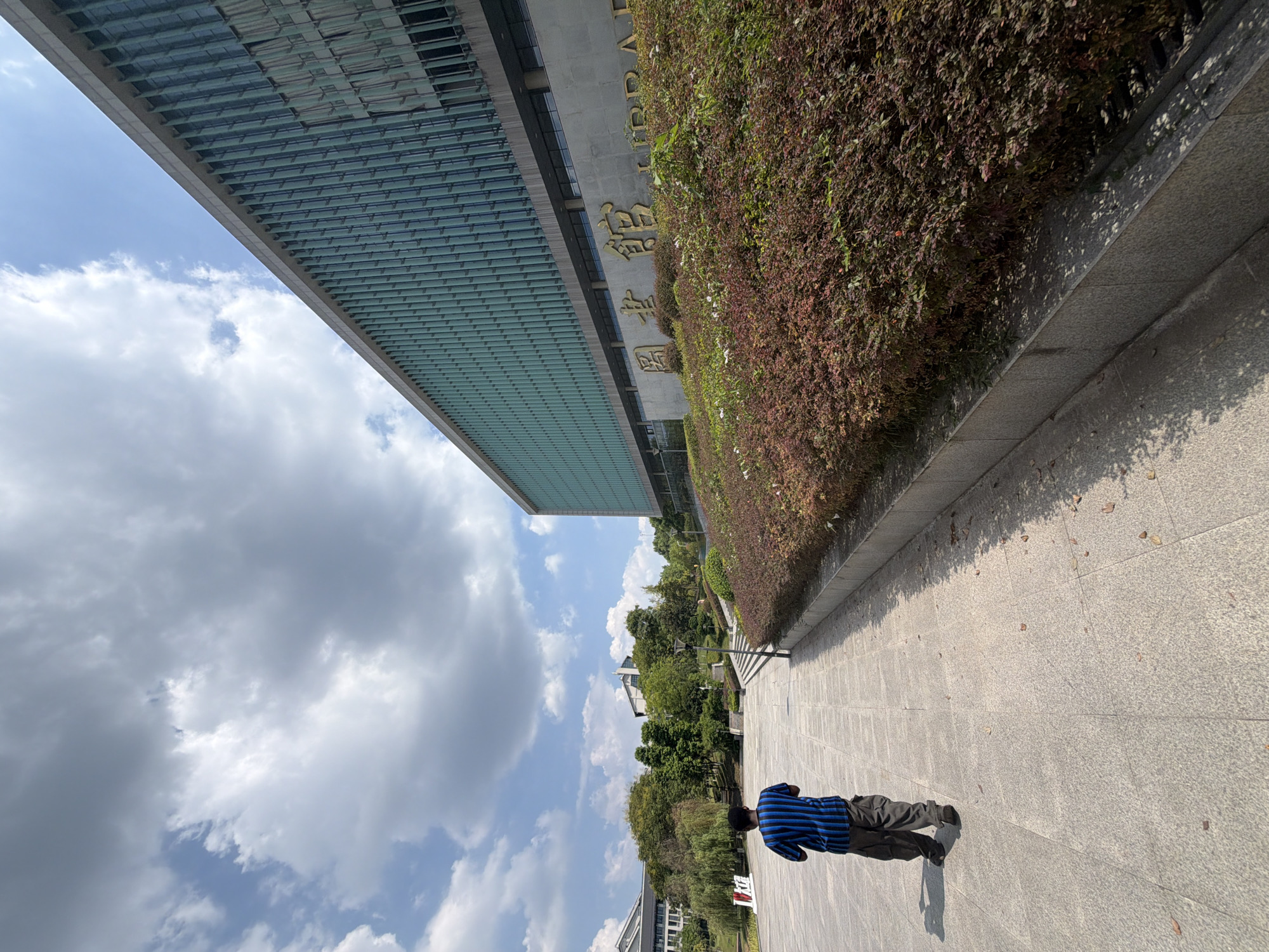 A full, eye-level, outdoor, medium shot shows a person walking away from the camera on a paved walkway in front of a modern building. A person wearing a black and blue striped shirt and dark pants walks on the left side of the walkway. The building, which is a library, is on the right side of the frame, with a large area of red-leafed bushes in front of it. The bushes are on a slope that leads up to the building's entrance. The building has a green, vertical-slatted facade. Golden Chinese characters and "LIBRARY" are visible on a concrete wall below the facade. In the background, there are trees, other buildings, and a bright blue sky with white clouds. The lighting suggests it is a sunny day. The location is identified as Jiangjin City, China.