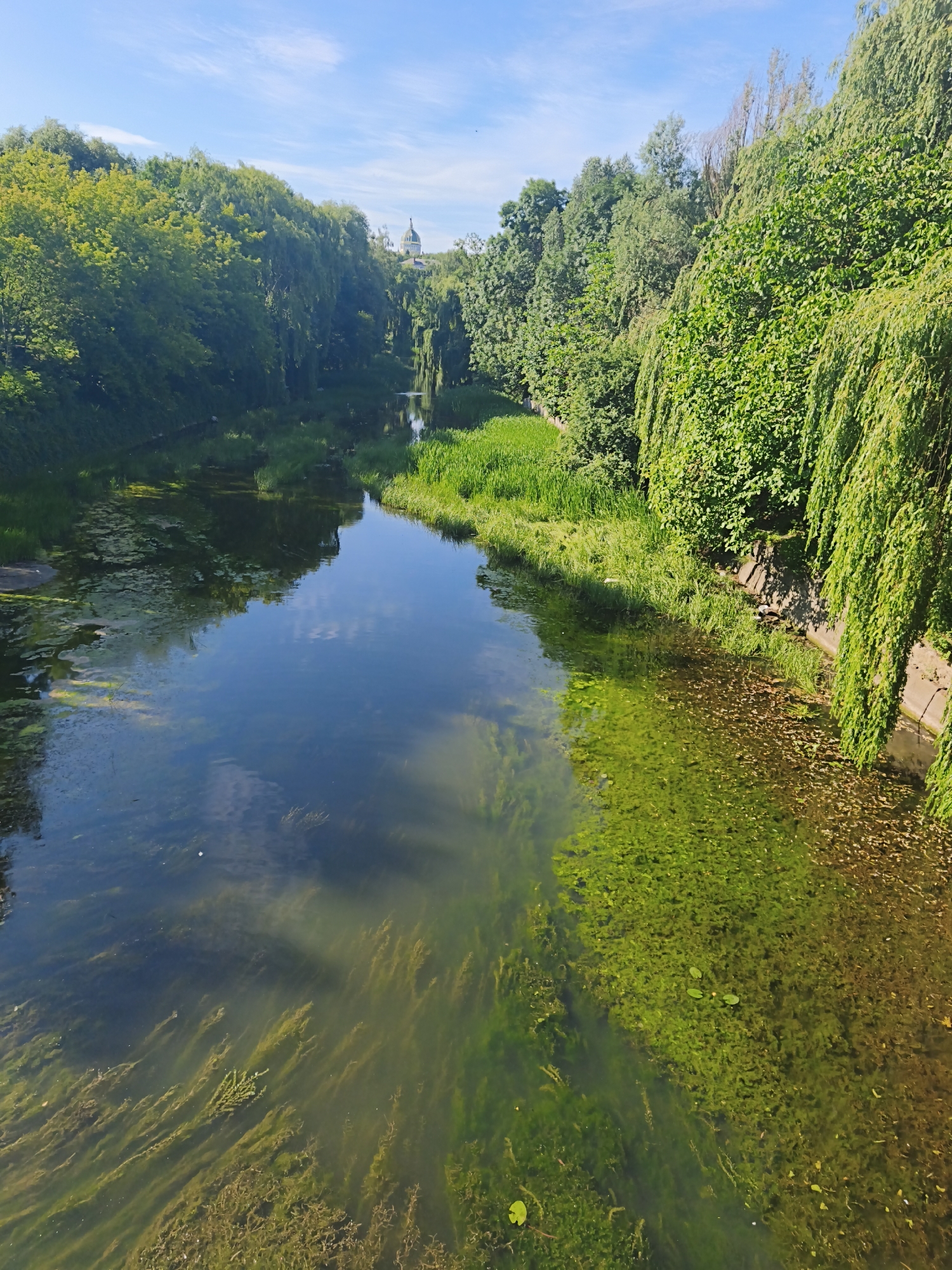 This is an aerial, wide-angle view of the Seret River in Ternopil, Ukraine, on a sunny day. The river is lush green with aquatic plants. The banks are lined with dense trees and vegetation. In the distance, a domed building is visible above the trees. The sky is blue with a few white clouds.