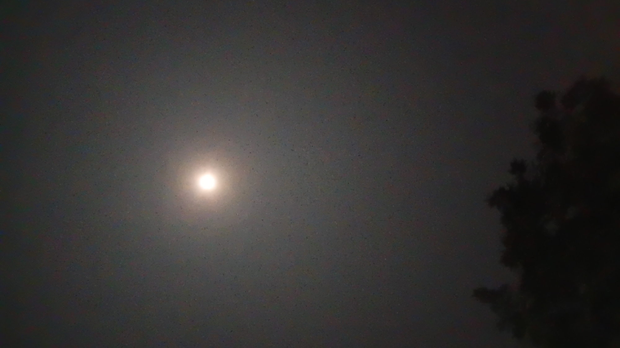 The image depicts a full moon in a hazy night sky, with the silhouette of trees in the foreground. The moon is centrally located in the upper portion of the image and appears bright and slightly diffused, indicating atmospheric conditions such as mist or light pollution. The trees below are dark and indistinct, forming a natural boundary at the bottom of the frame. The overall scene suggests a clear night, despite the haze around the moon, likely in a rural or semi-urban setting within Prabumulih, Indonesia, given the context. No people or specific man-made structures are visible.